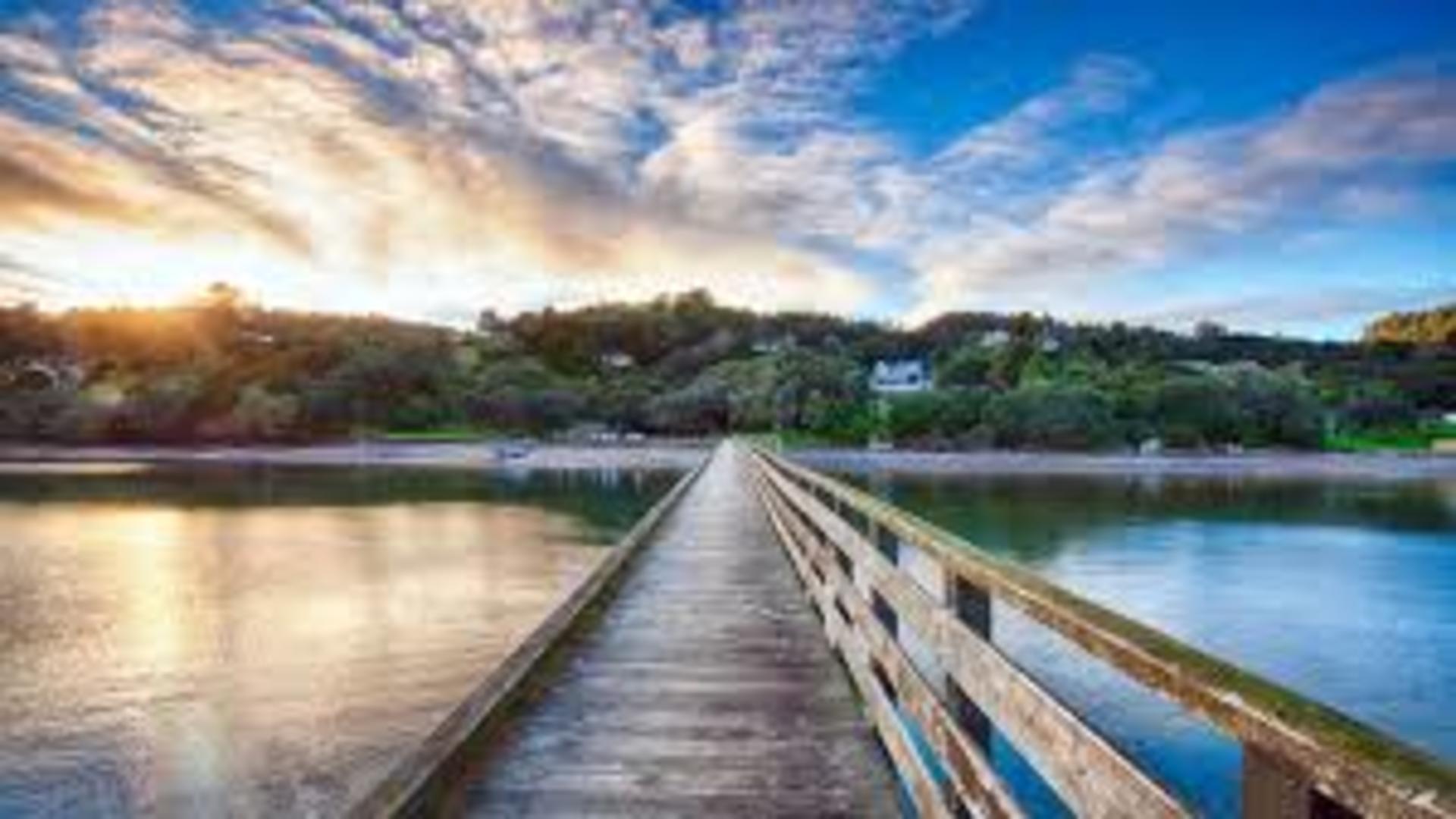 dm_e80dac01bd19f77374864e81821c2431