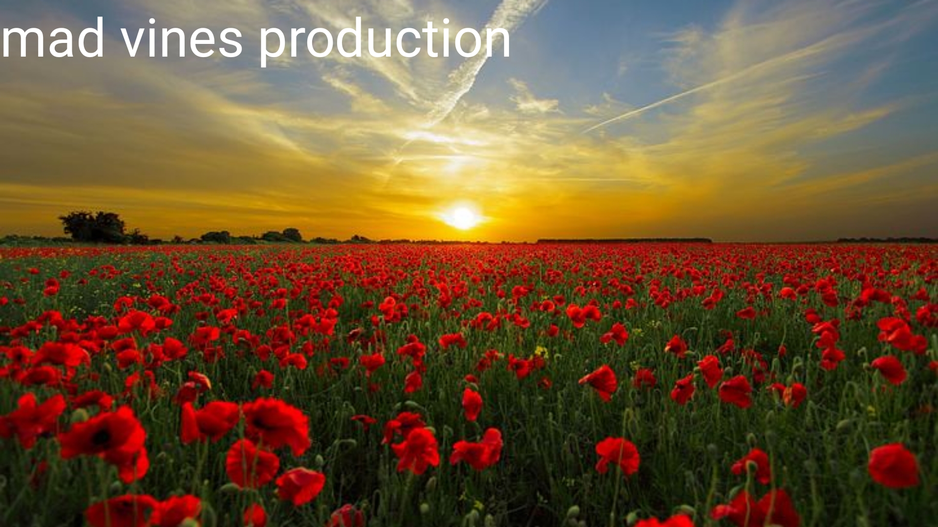 mad vines production