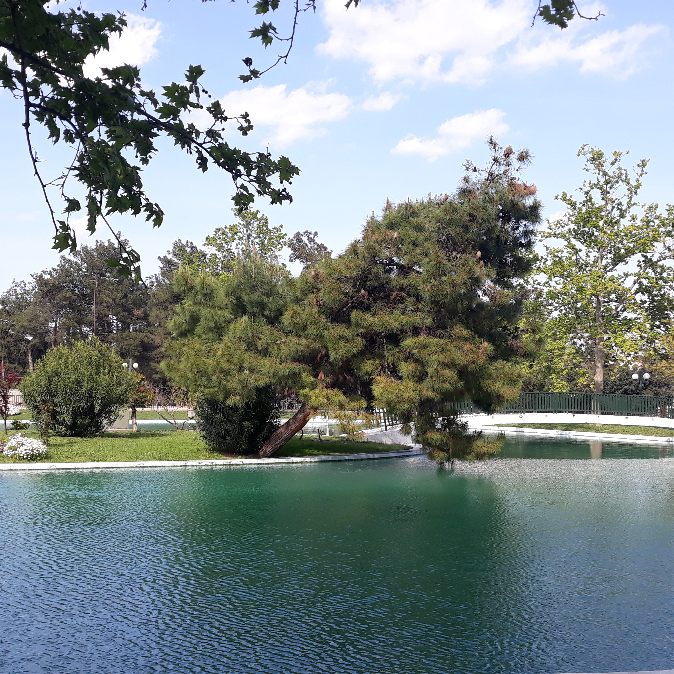 ΠΕΤΑ ΤΗ ΦΡΙΤΕΖΑ