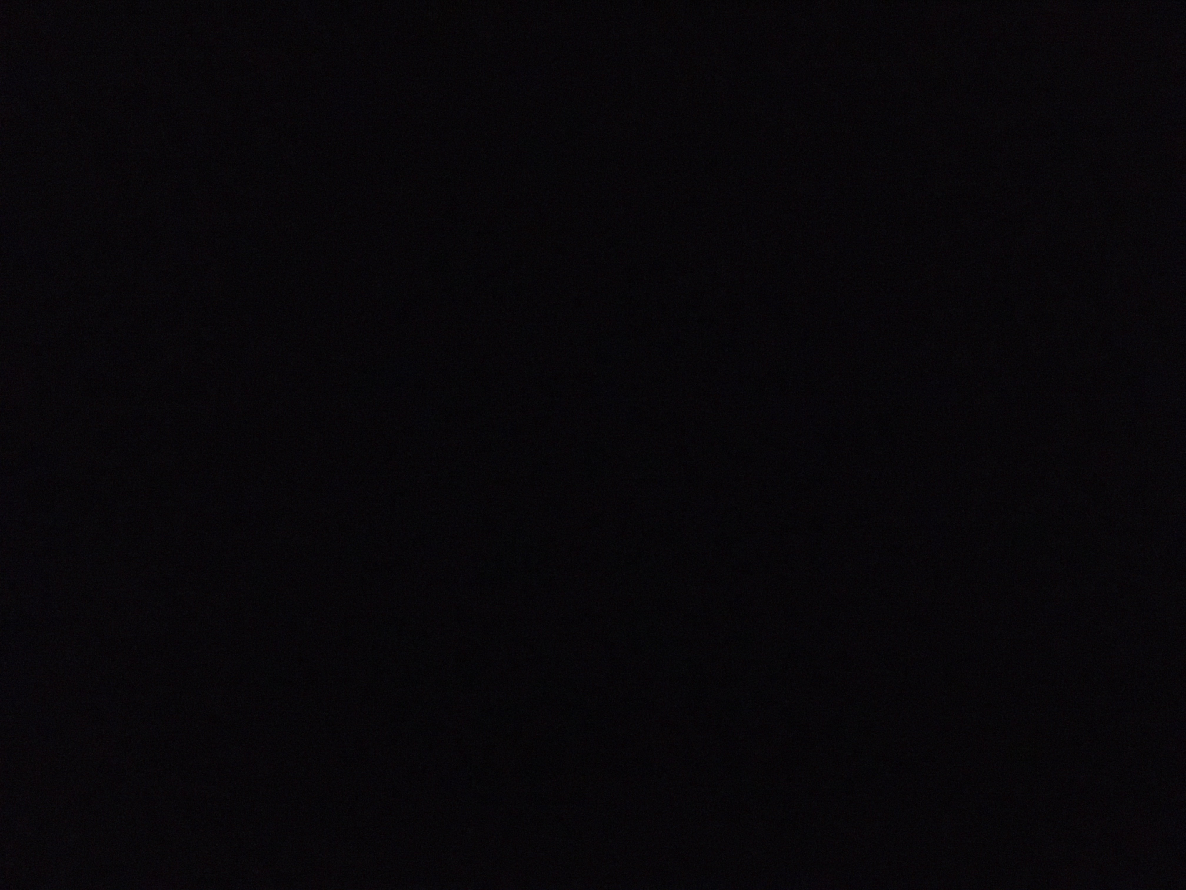 Push Baby Live Clips