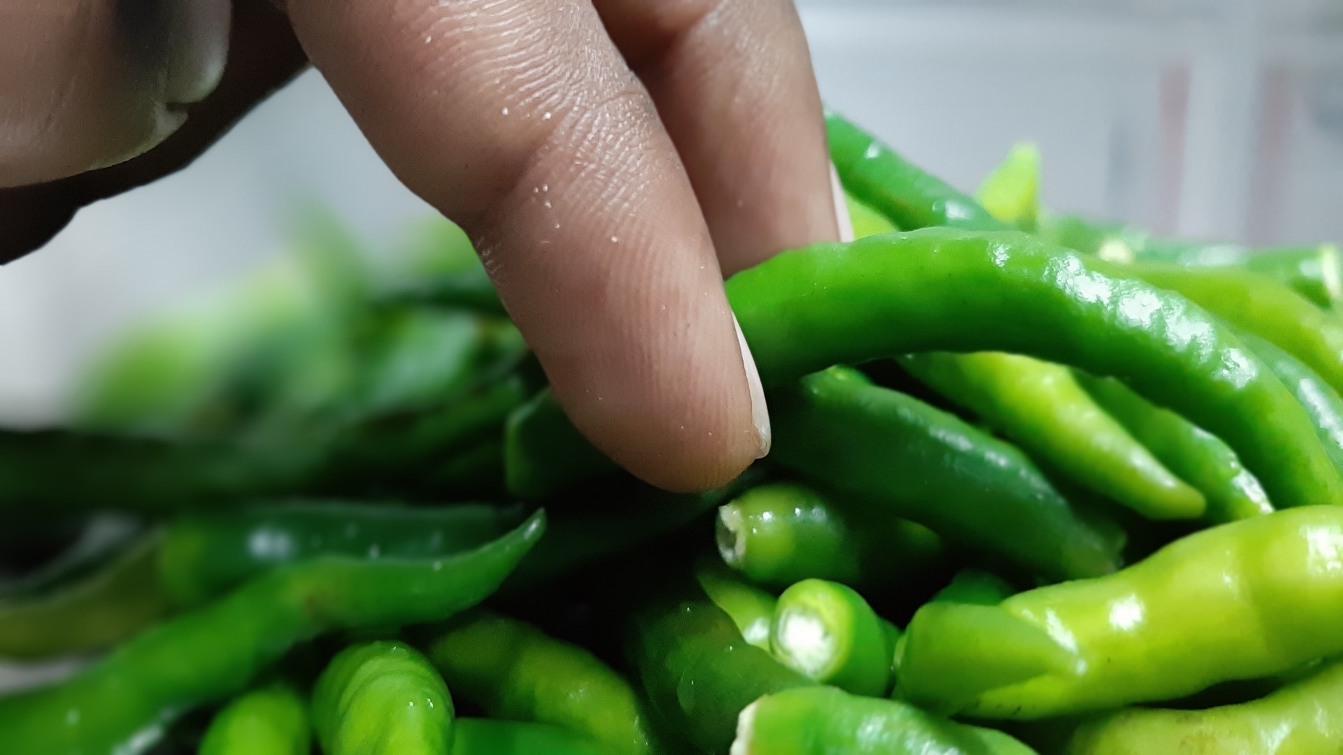 Santosh Swansi Food Life