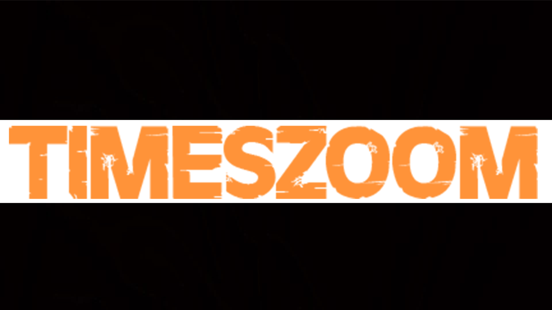 TimesZOOM