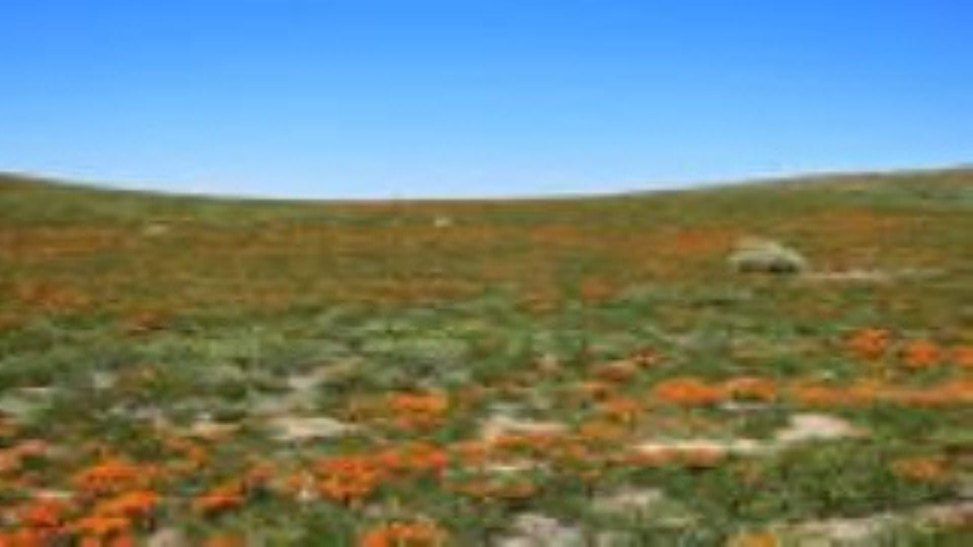 Metro life by amit varma