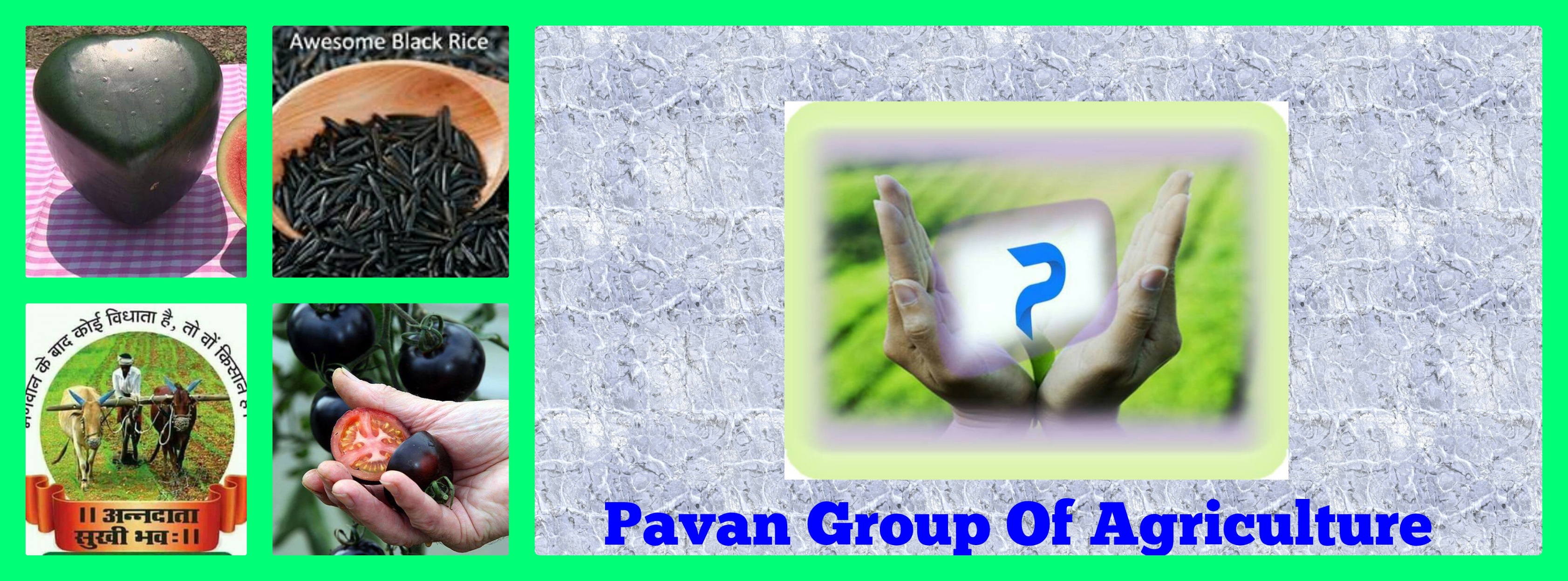 Pavan Group Of Agriculture