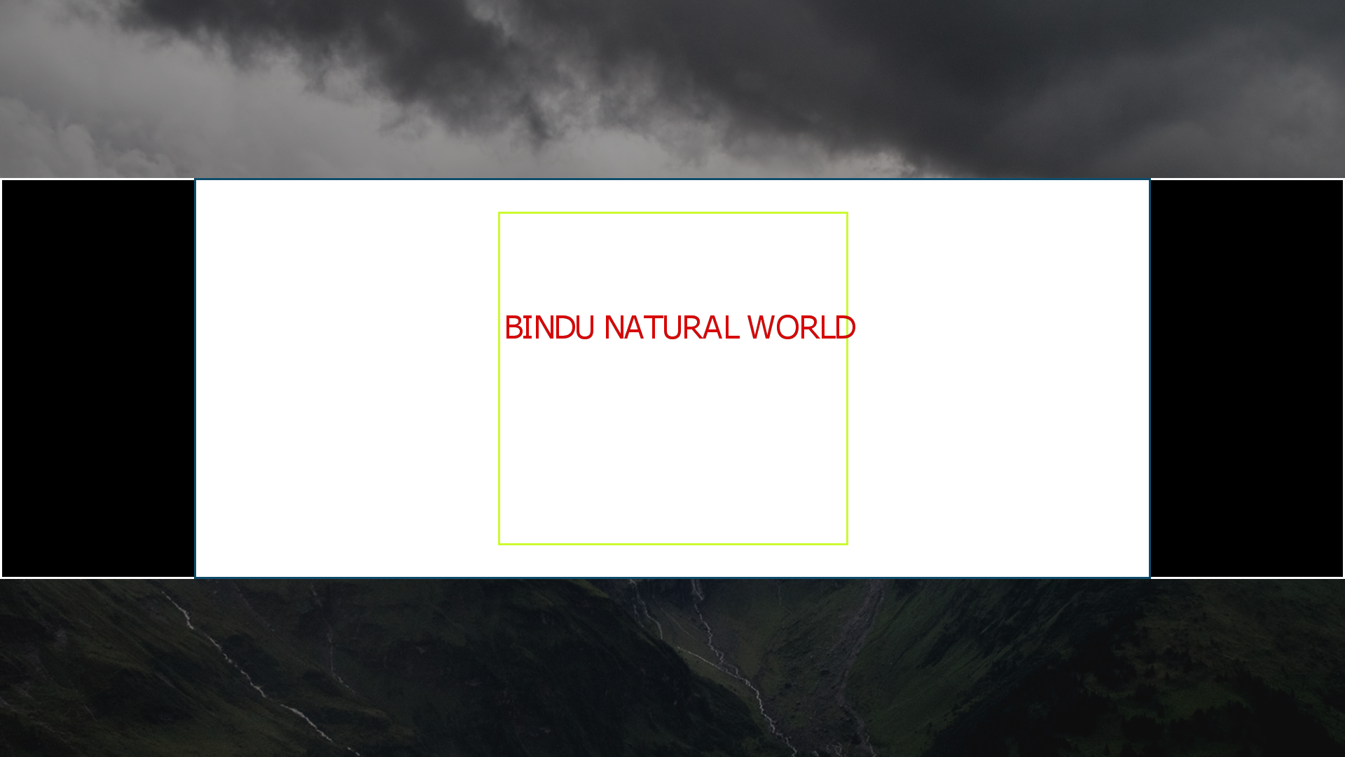 BINDU NATURAL WORLD