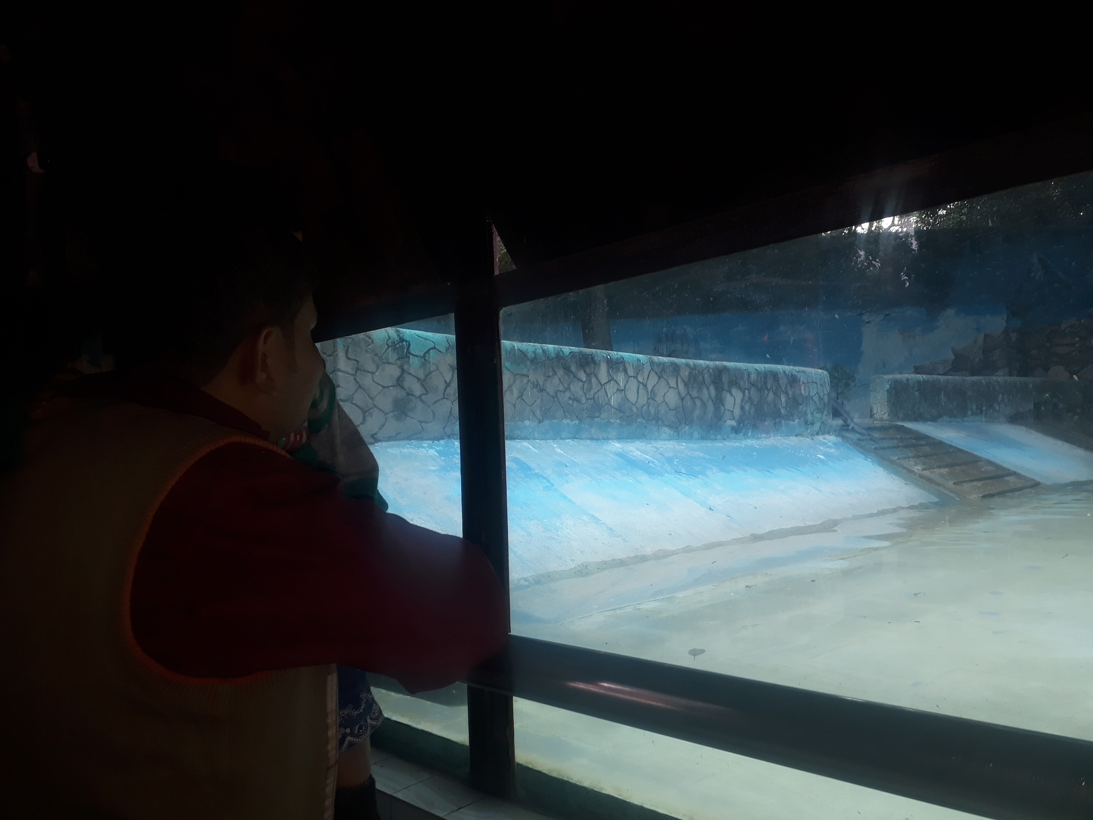 Entertainment with us