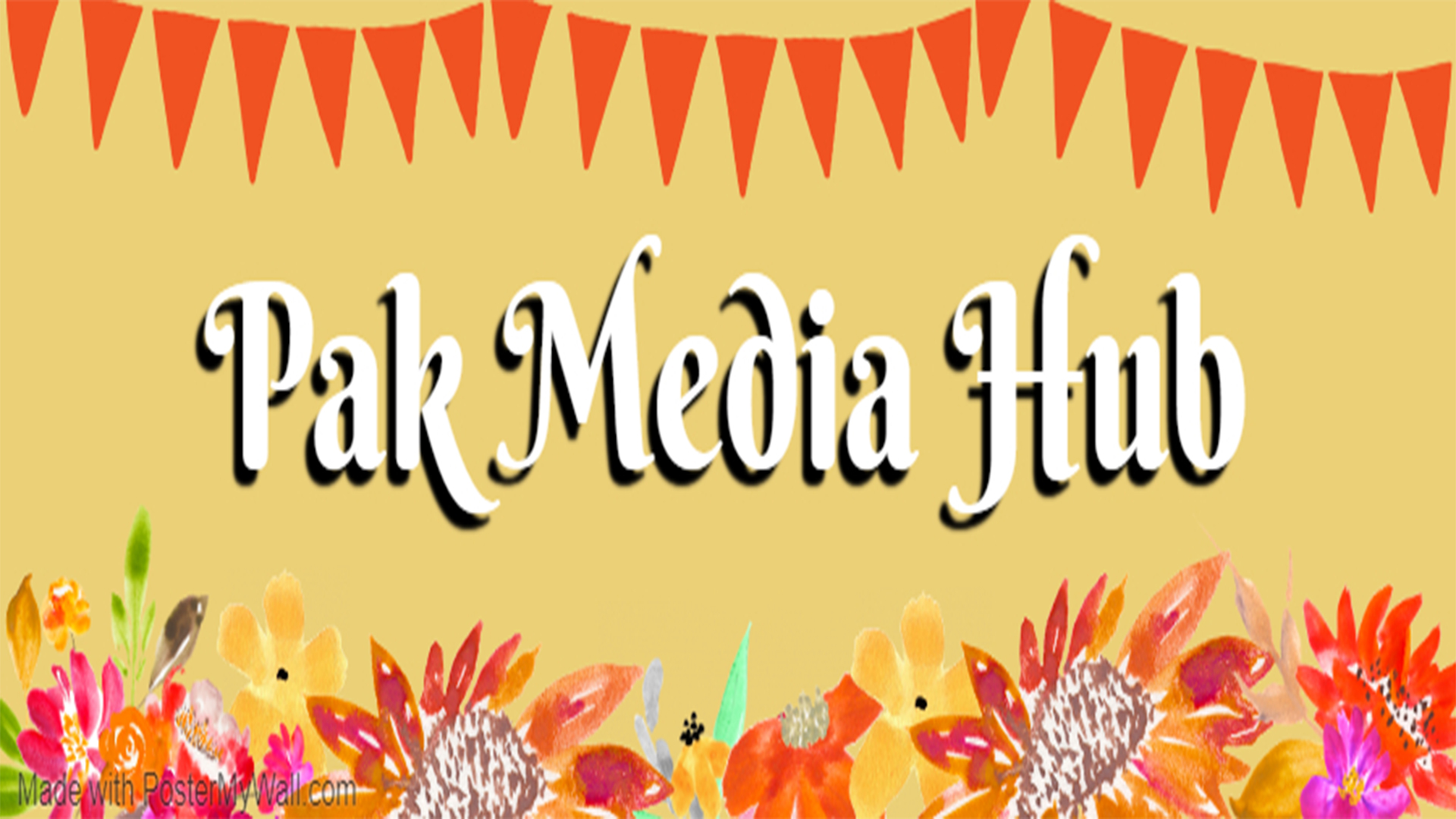 Pak Media Hub
