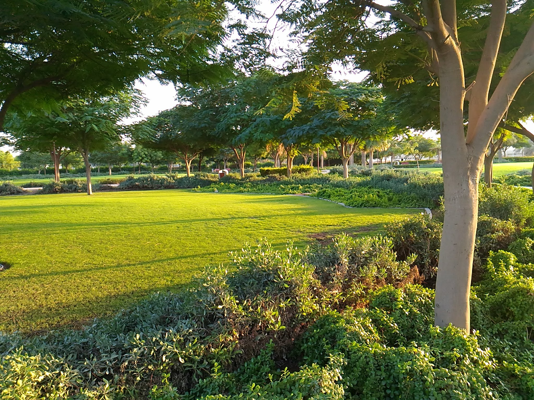 Malabar Mix by Shemeer Malabar