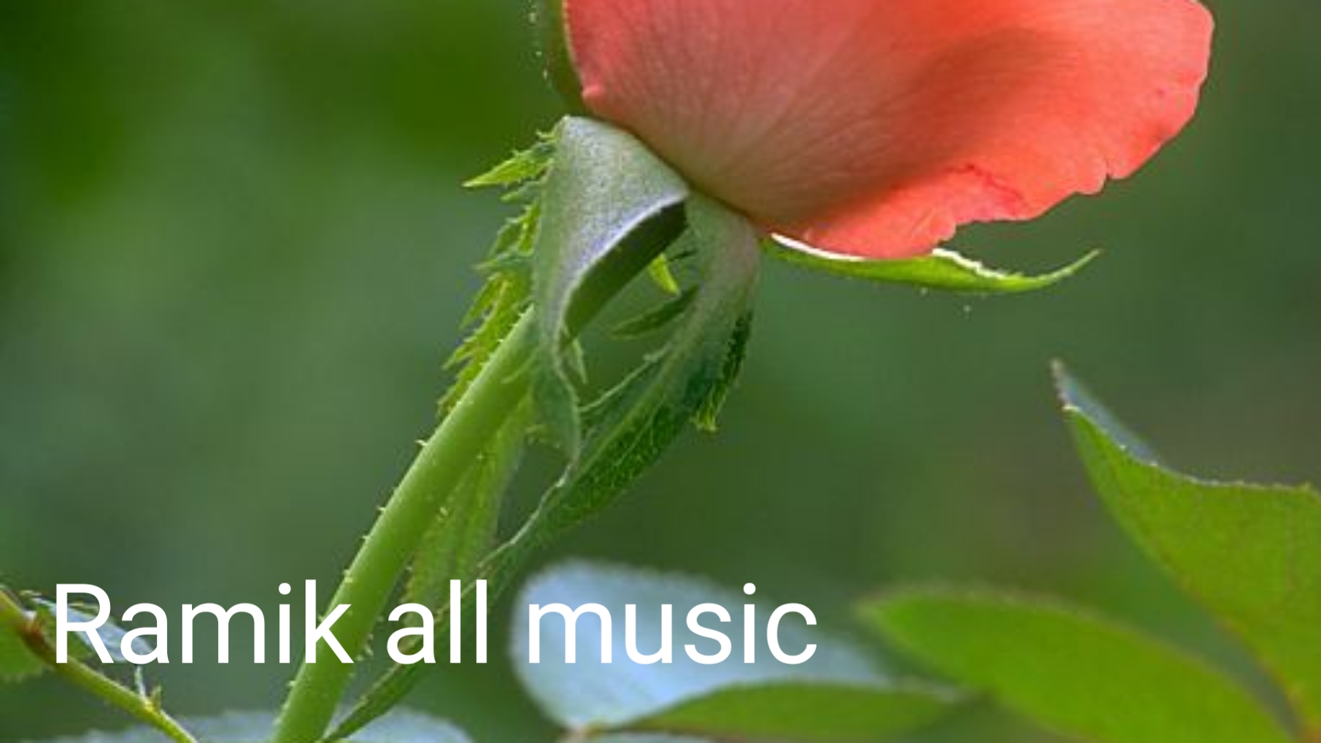 dm_65060f73f0cb749156636e84b8679cc3