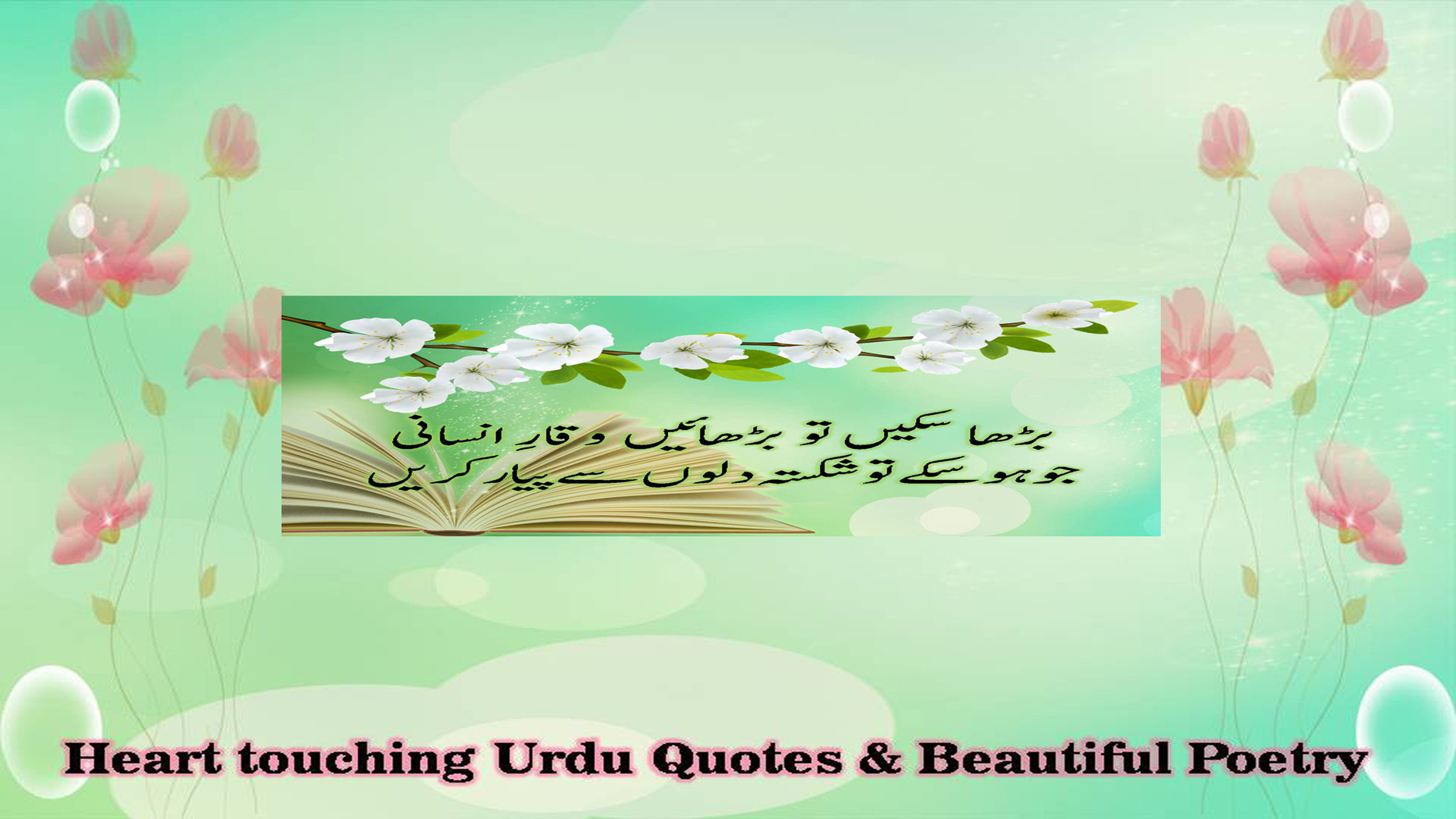 Urdu Poetry Shayari With Ibn e Ata