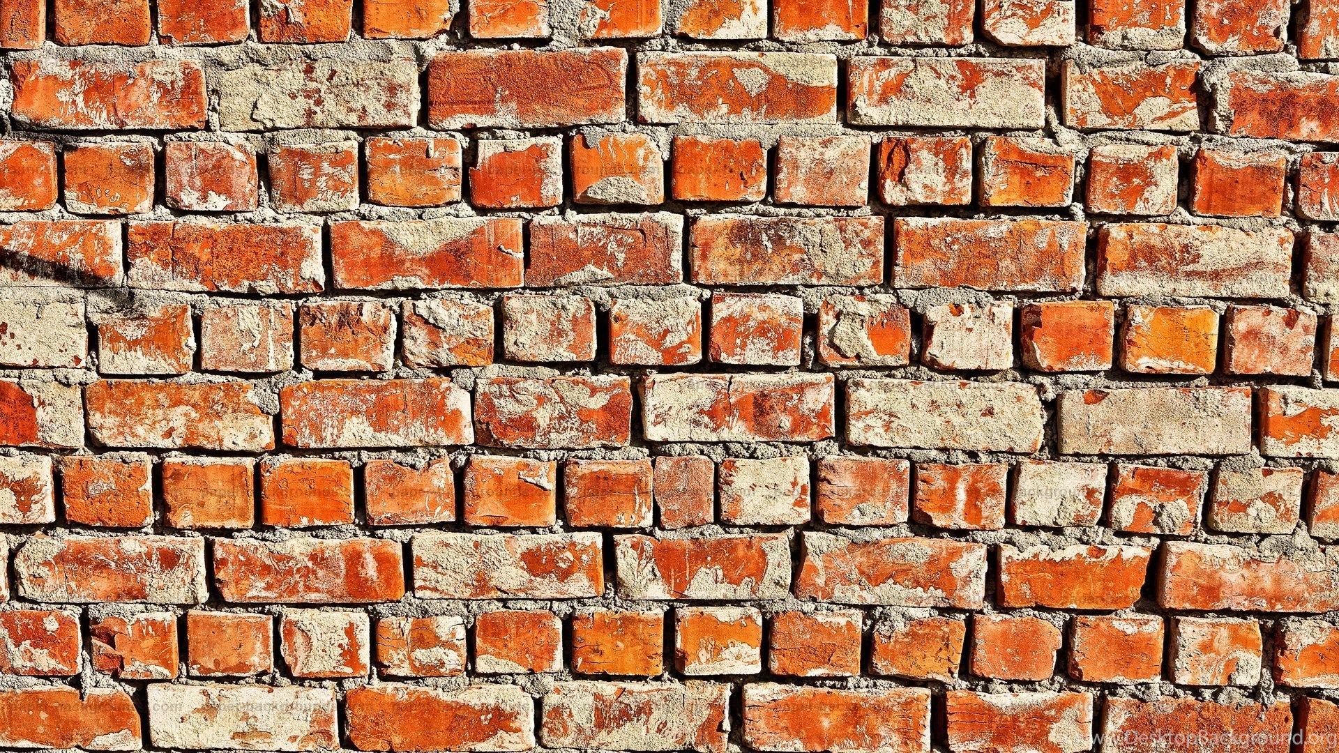 dm_11ee99d8e9e84176f8fa0245031570b6