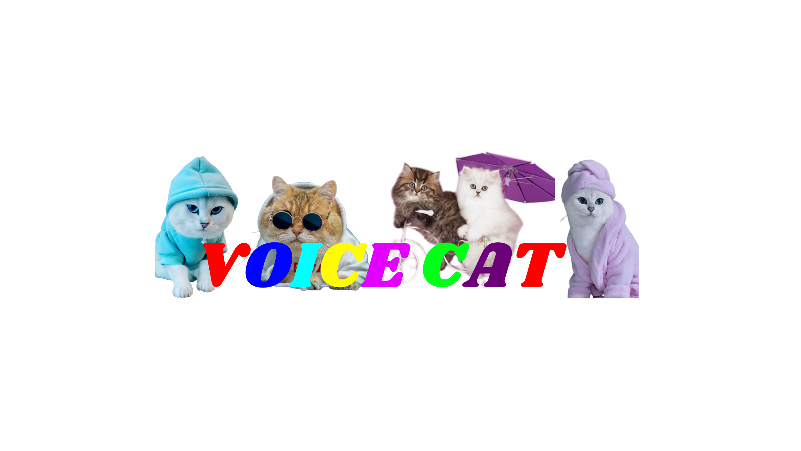 Voice Cat