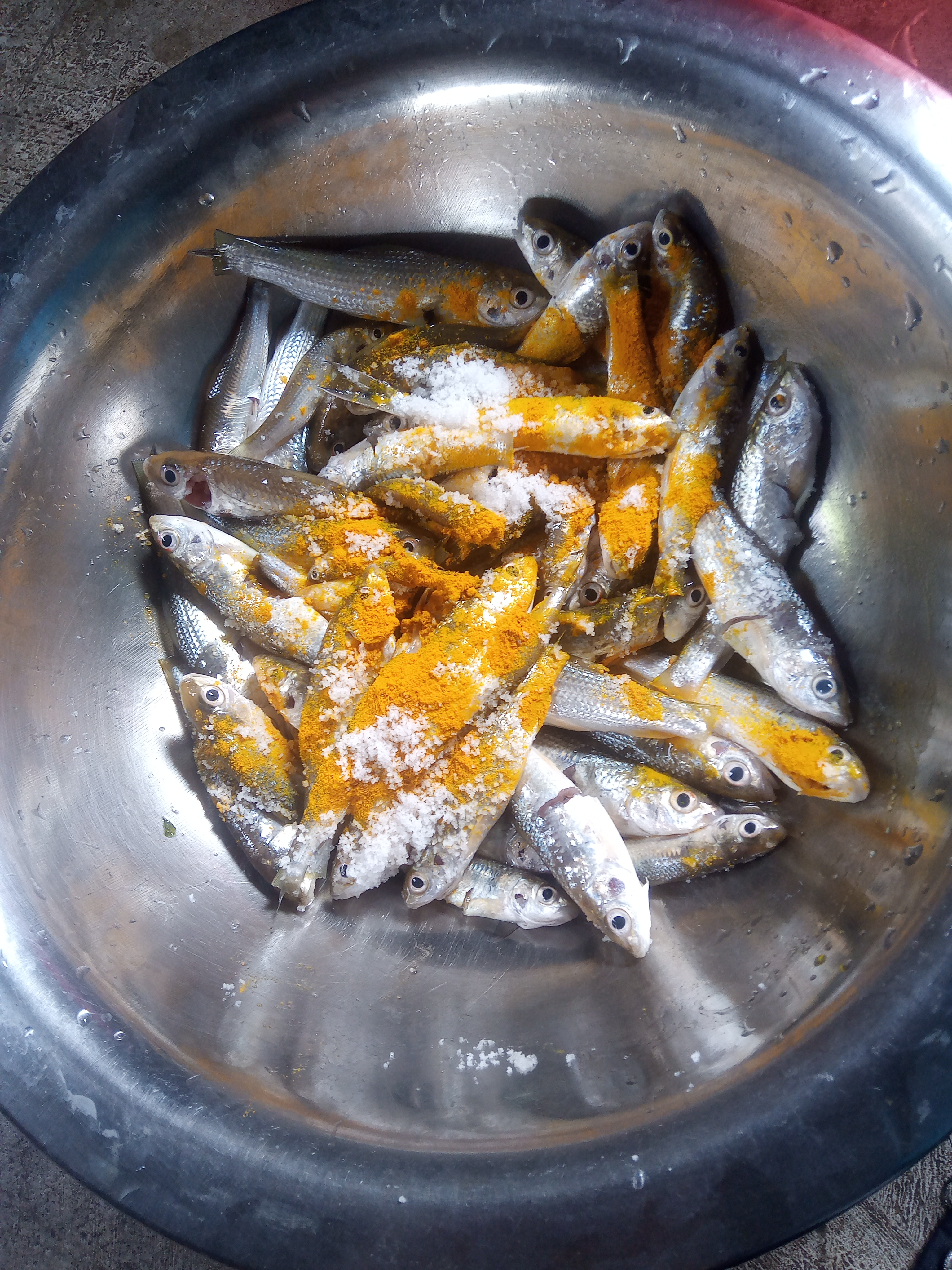 Hingchongso Collections