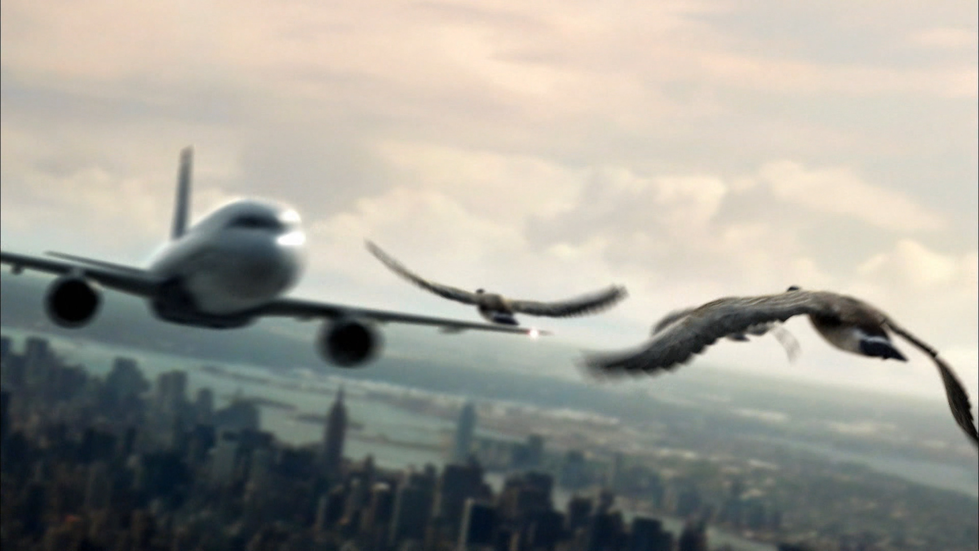 Docuentales Mayday Catastrofes Aereas MCA