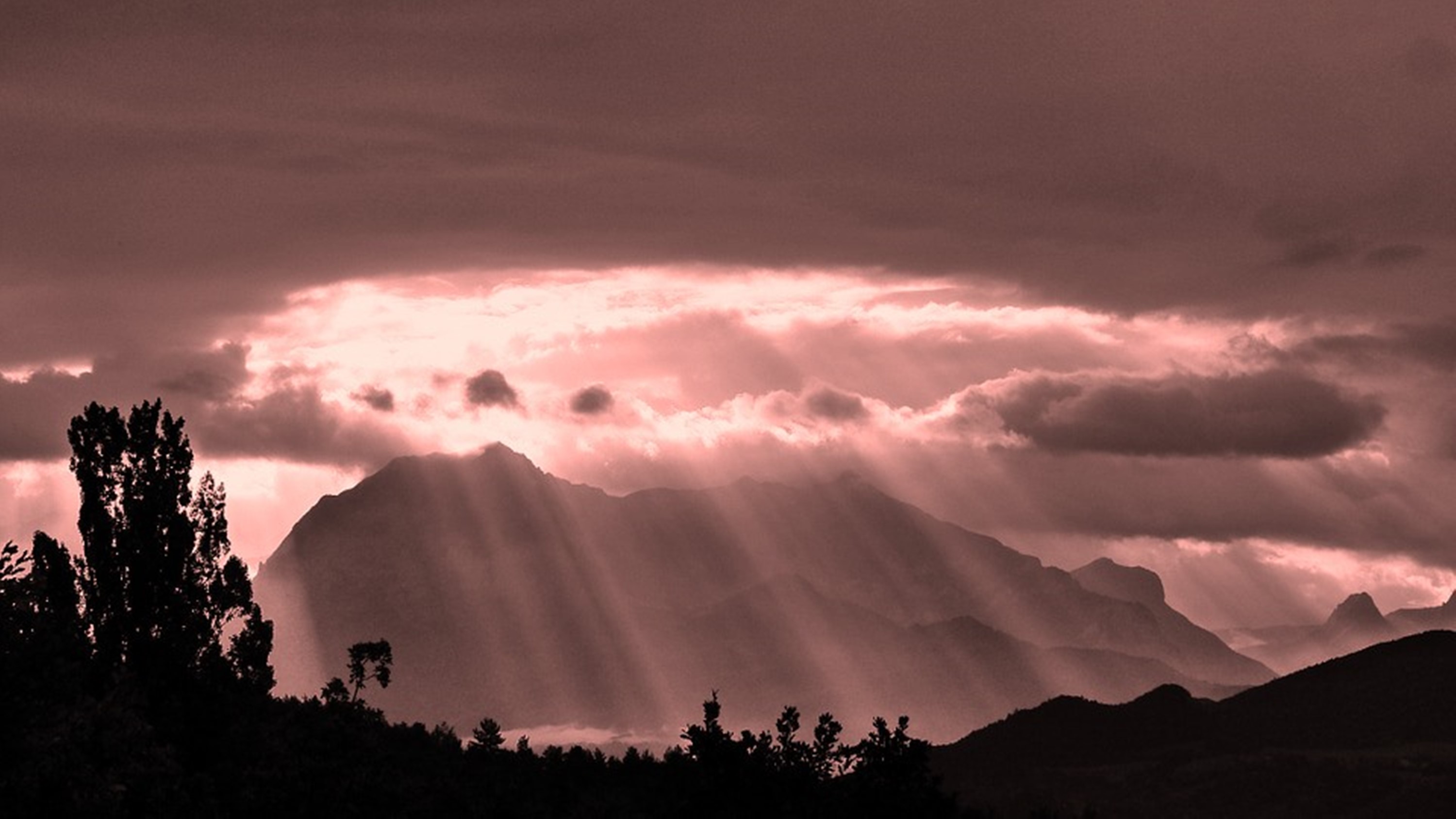 Marcelo Ruibal (Músico-Musician)