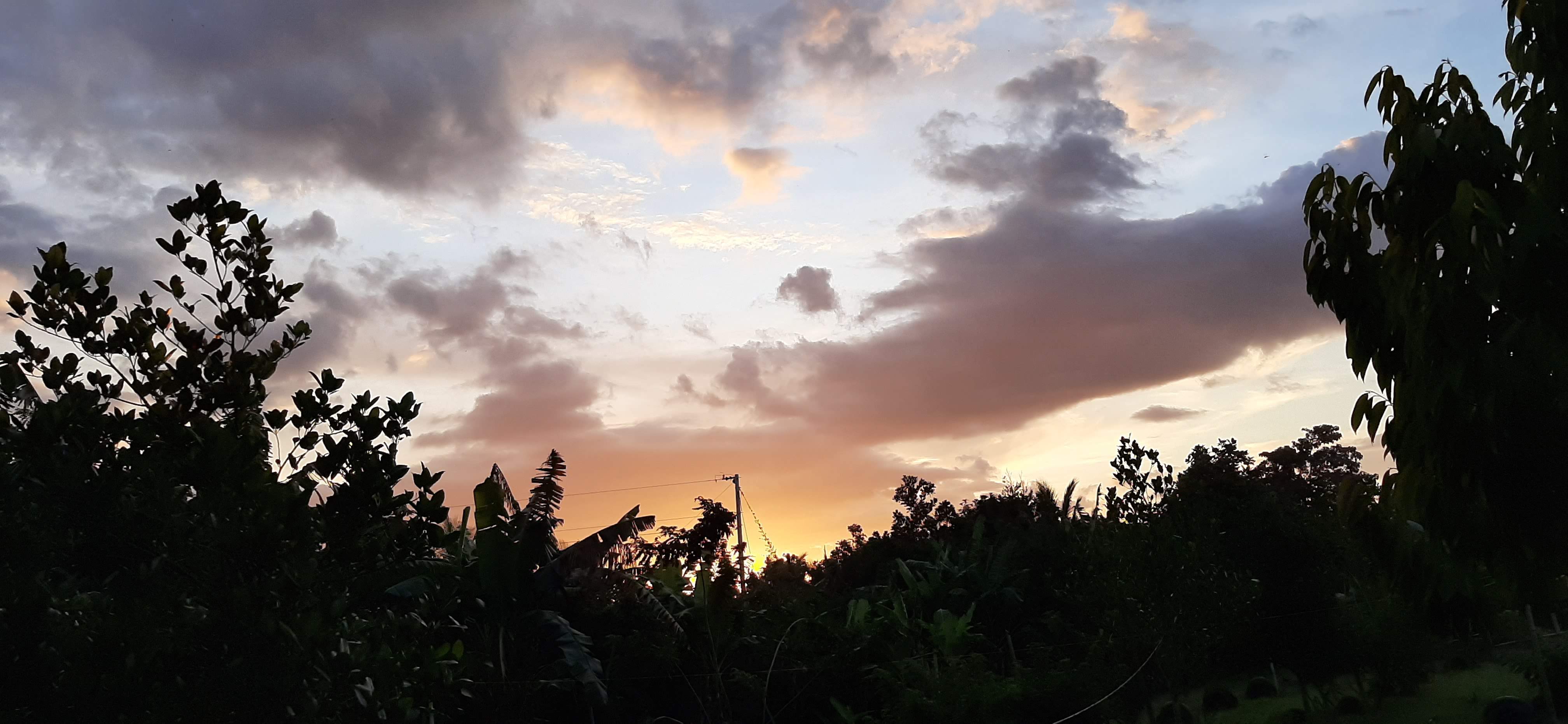 The Opherian Channel