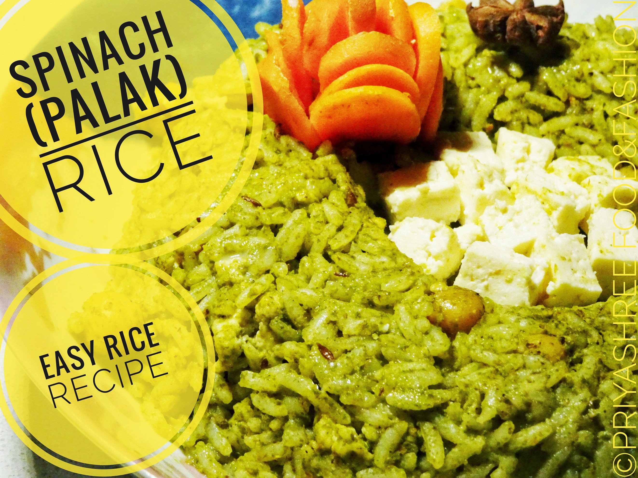 PriyaShree Food&Fashion