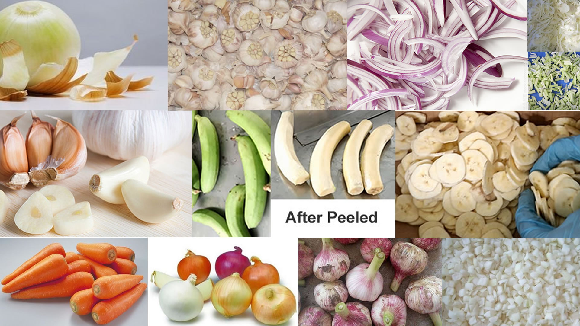 Vegetable Processing Machinery Equipment