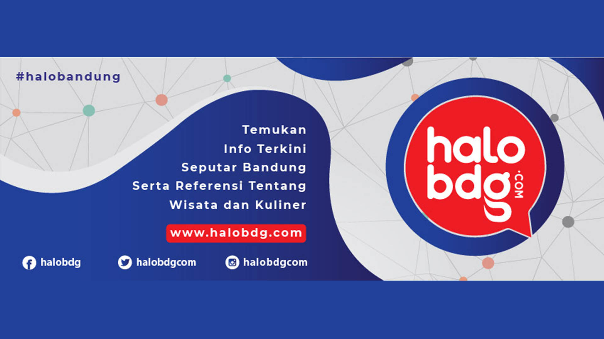 halobdg.com