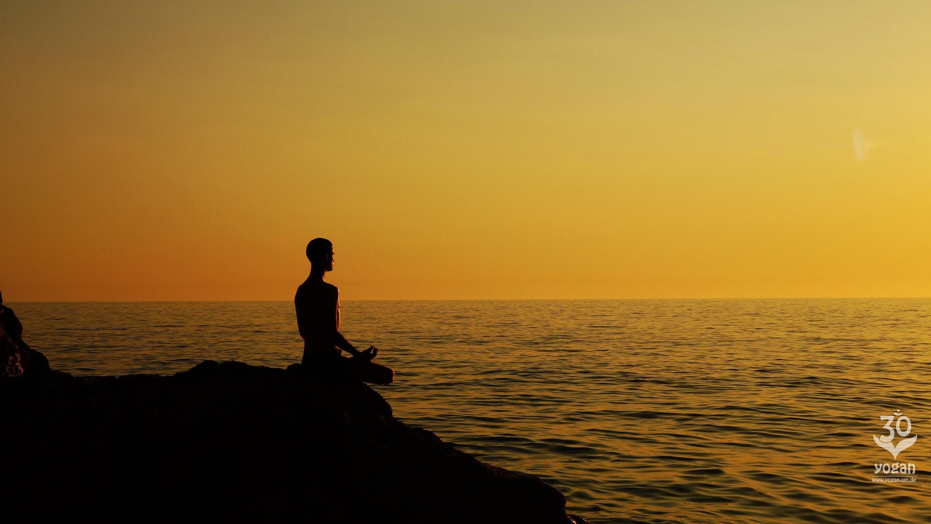 Chill Music & Sounds