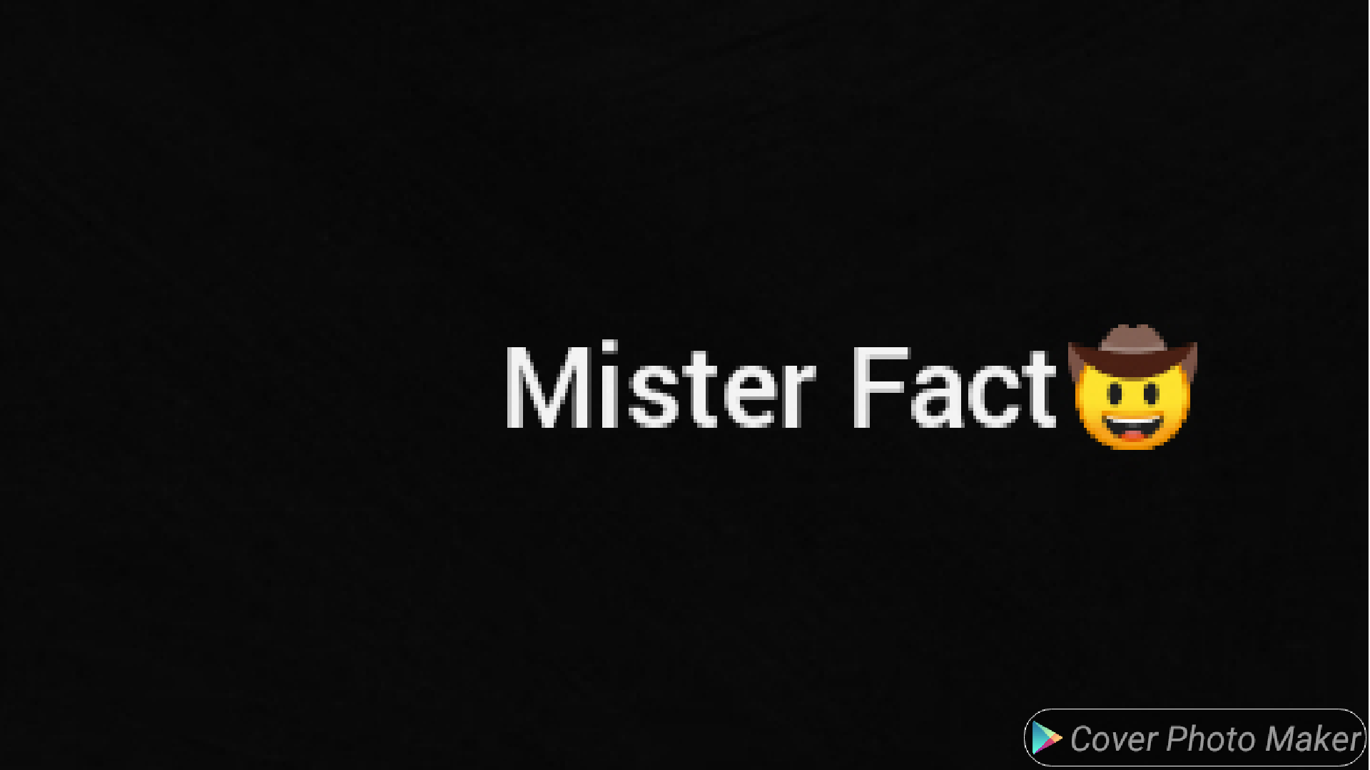 Mister Fact