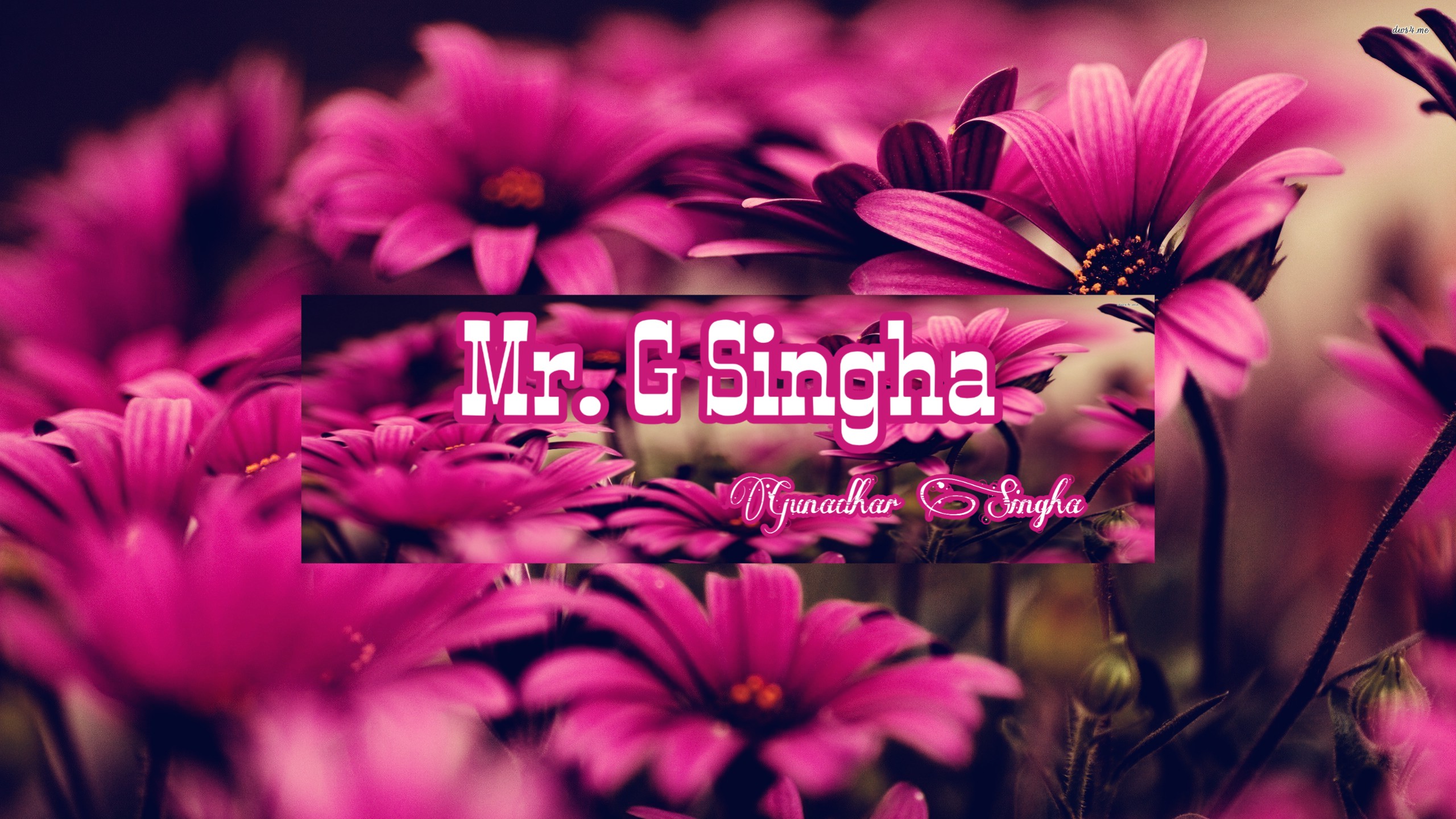Mr. G Singha  (Gunadhar Singha)