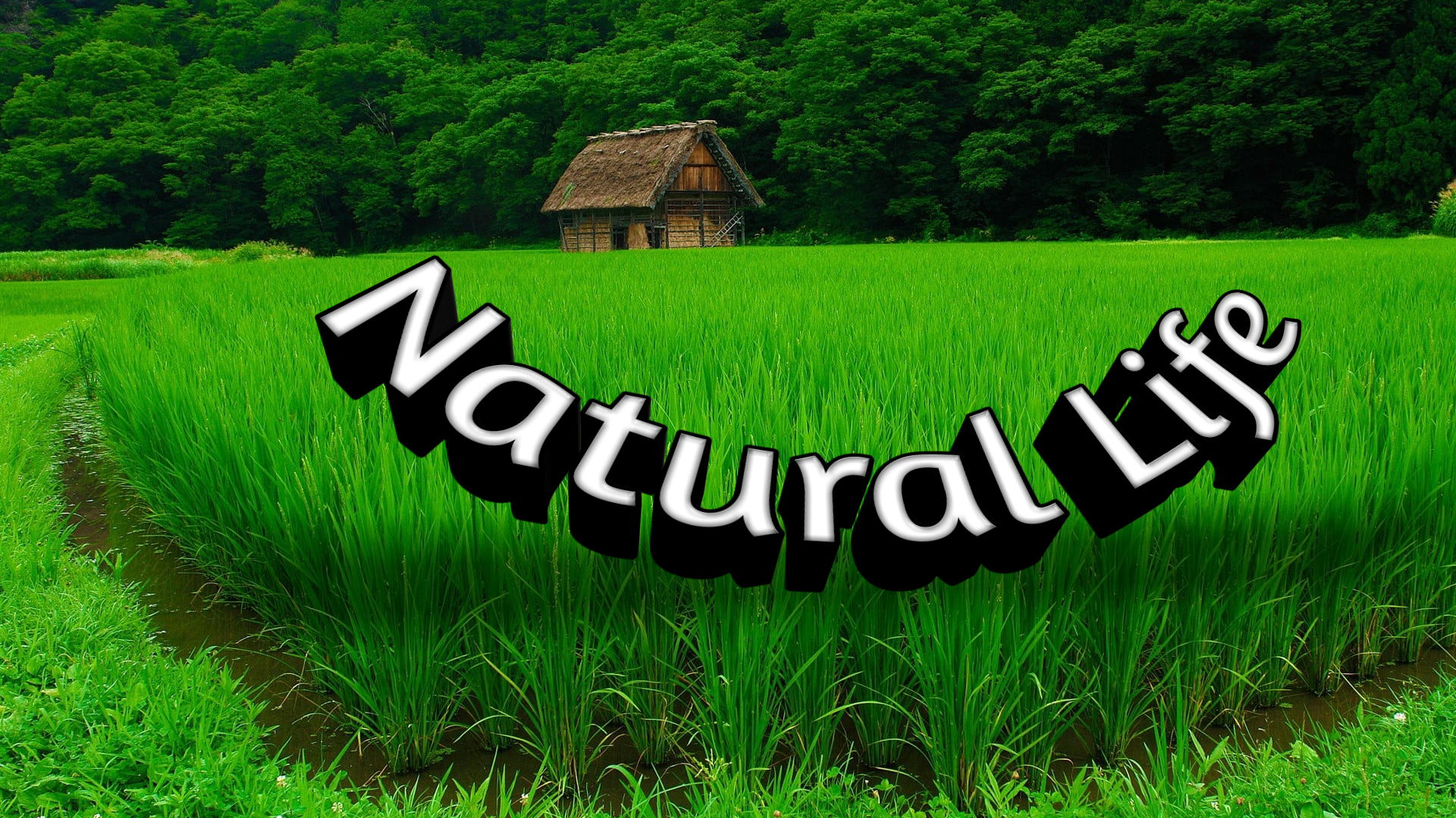 Natural Life
