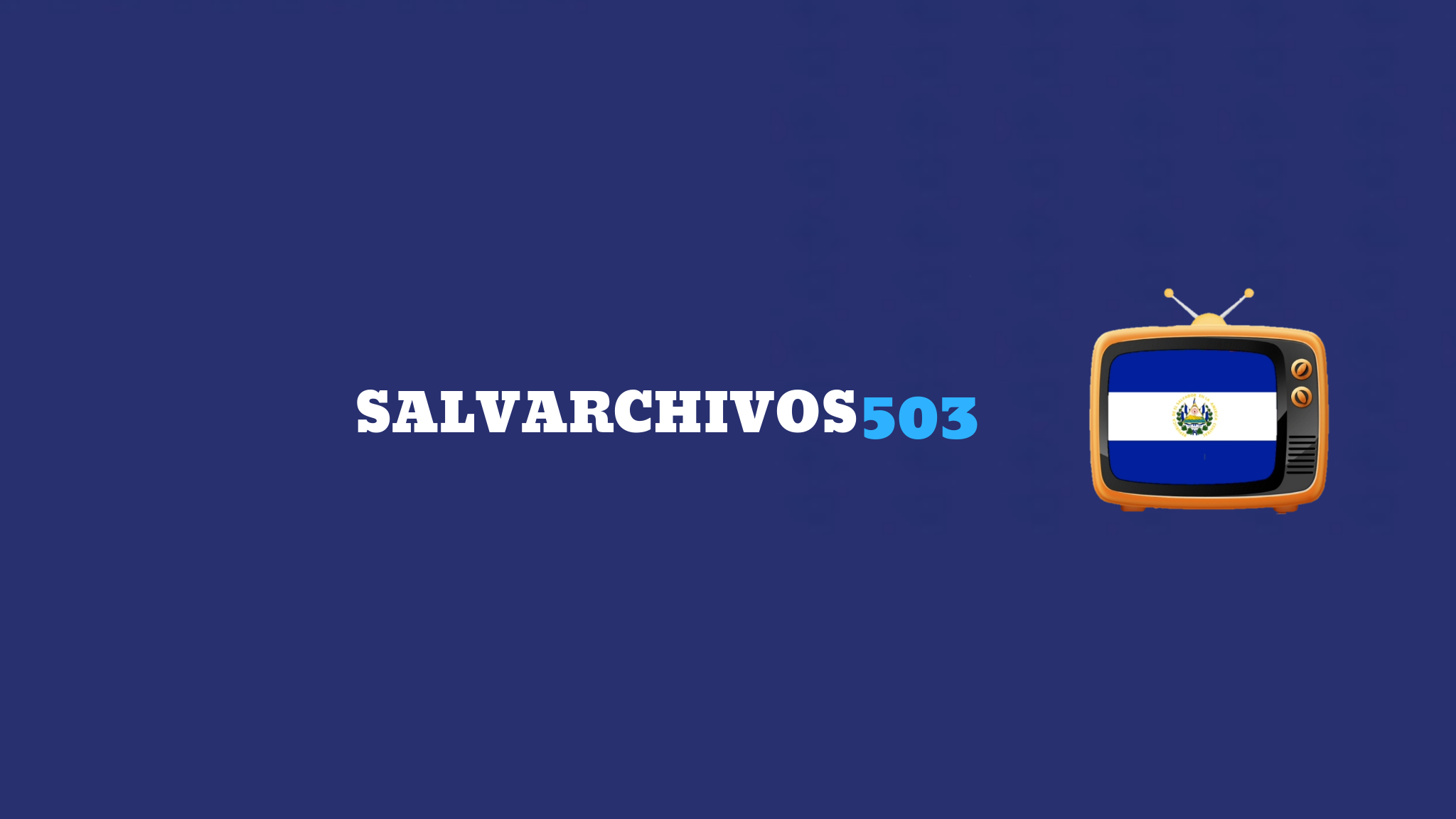 Salva 503