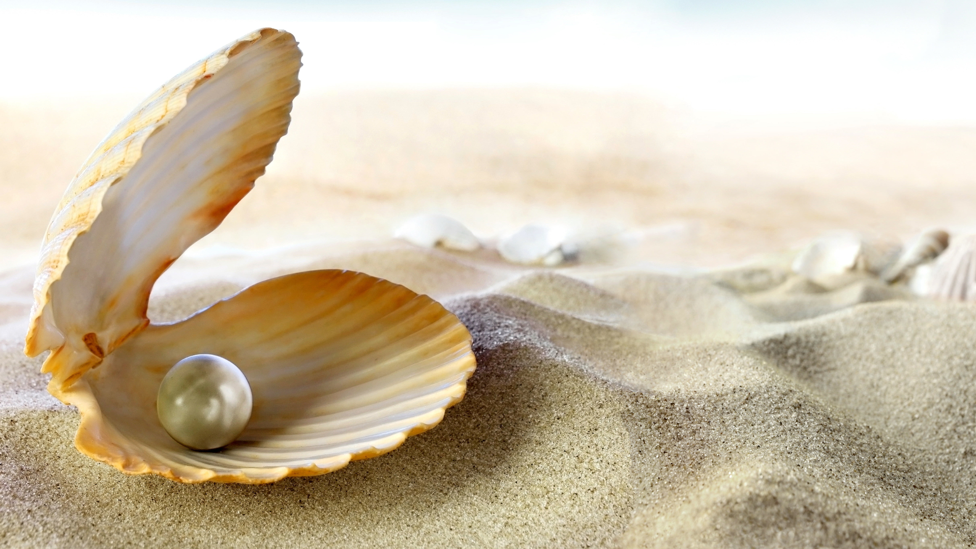 Dr. Padma's Pearls of Wisdom