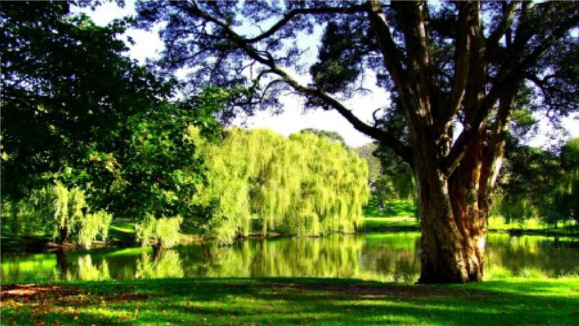 Pakistani Drama Serial