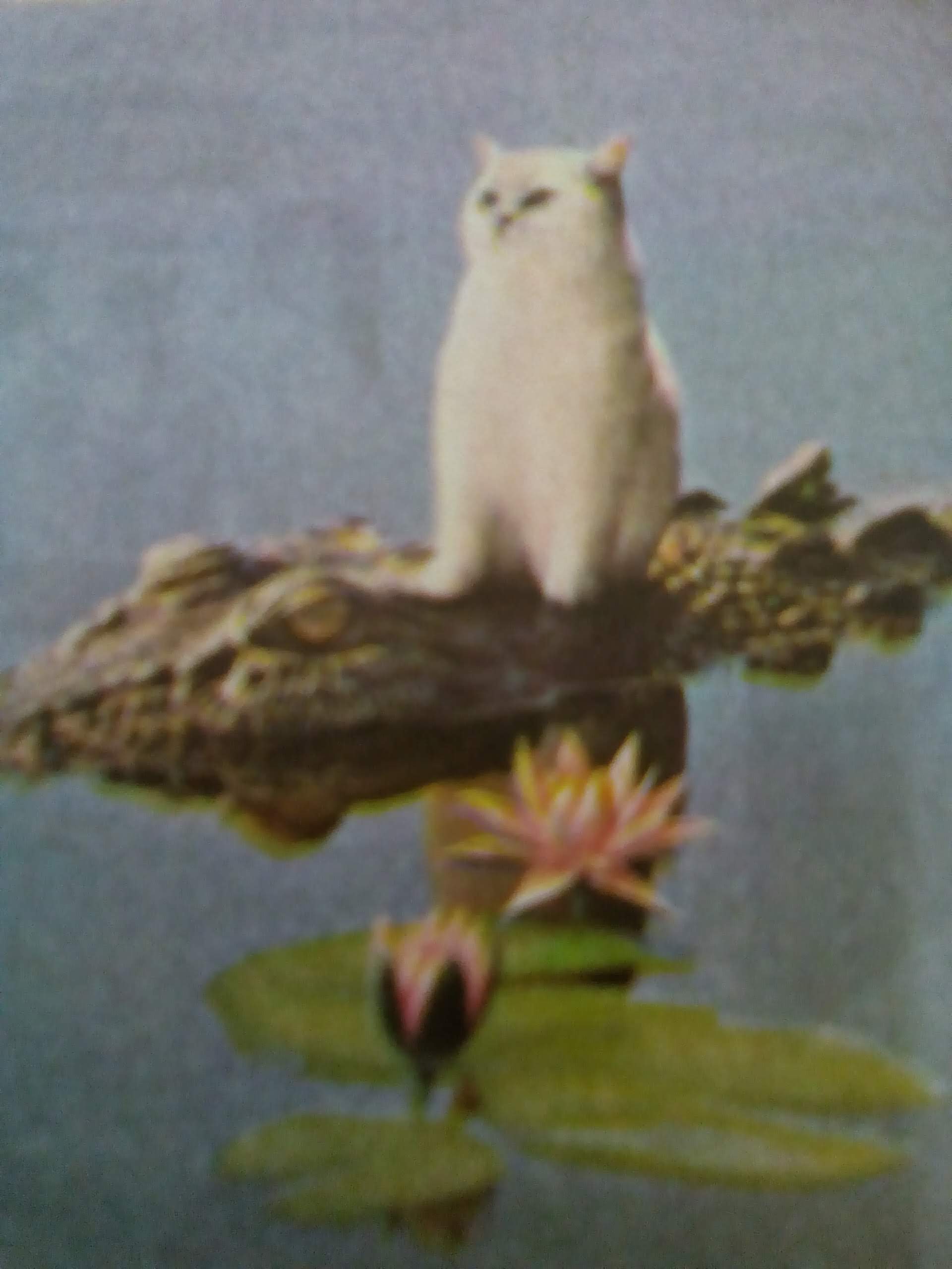 None But All .Unknown