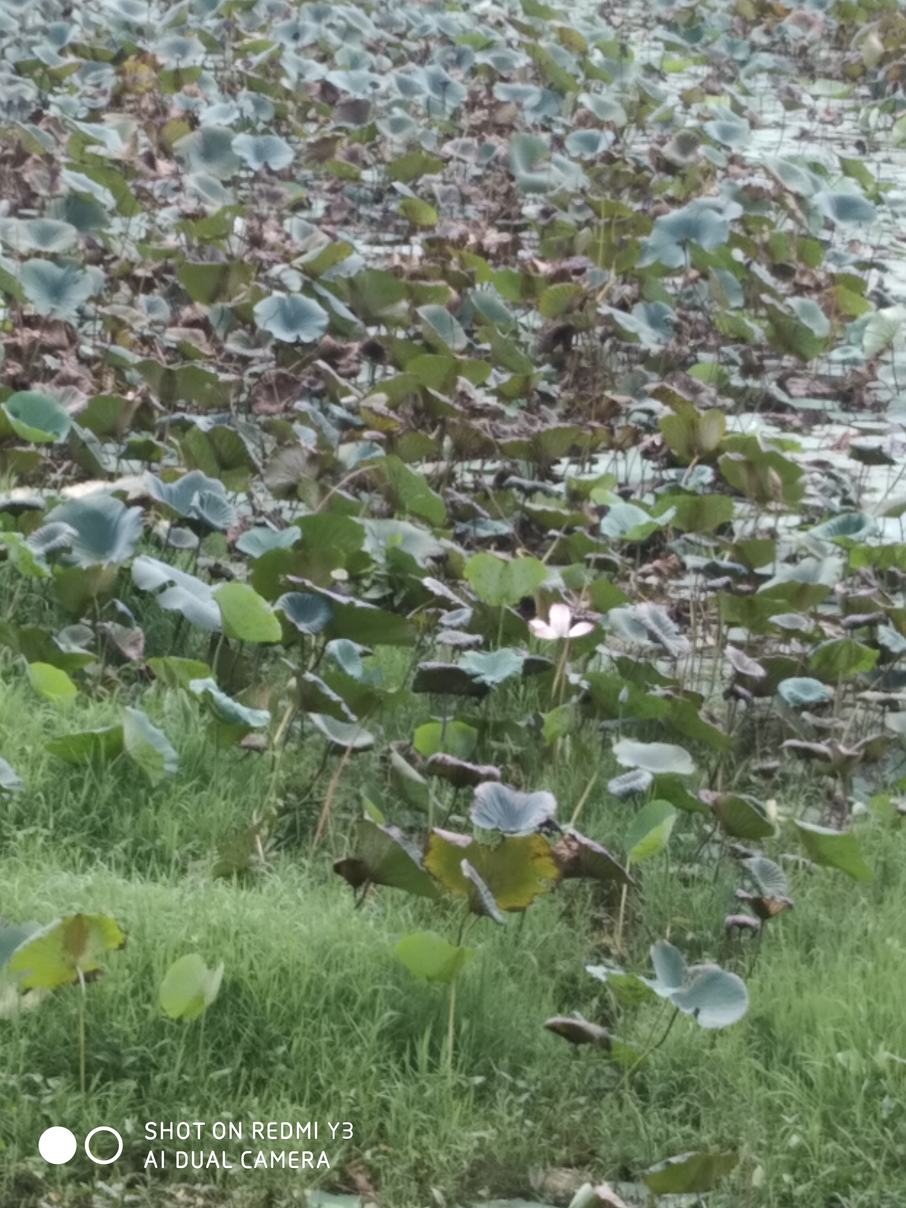 dm_6b928318c3dde49af7ade099aff817a1