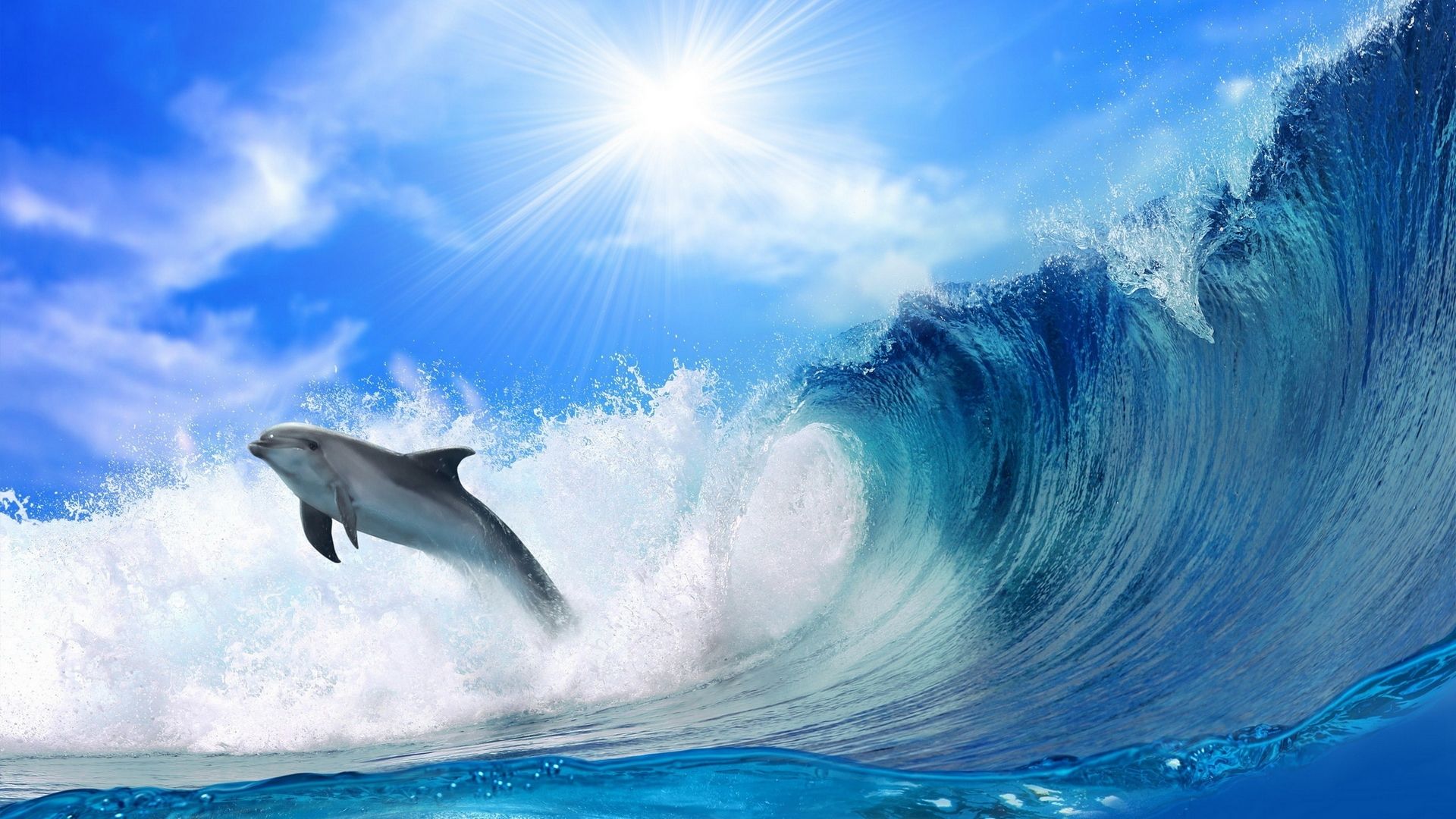 dm_573a168f110f156a442bcb72c3965186