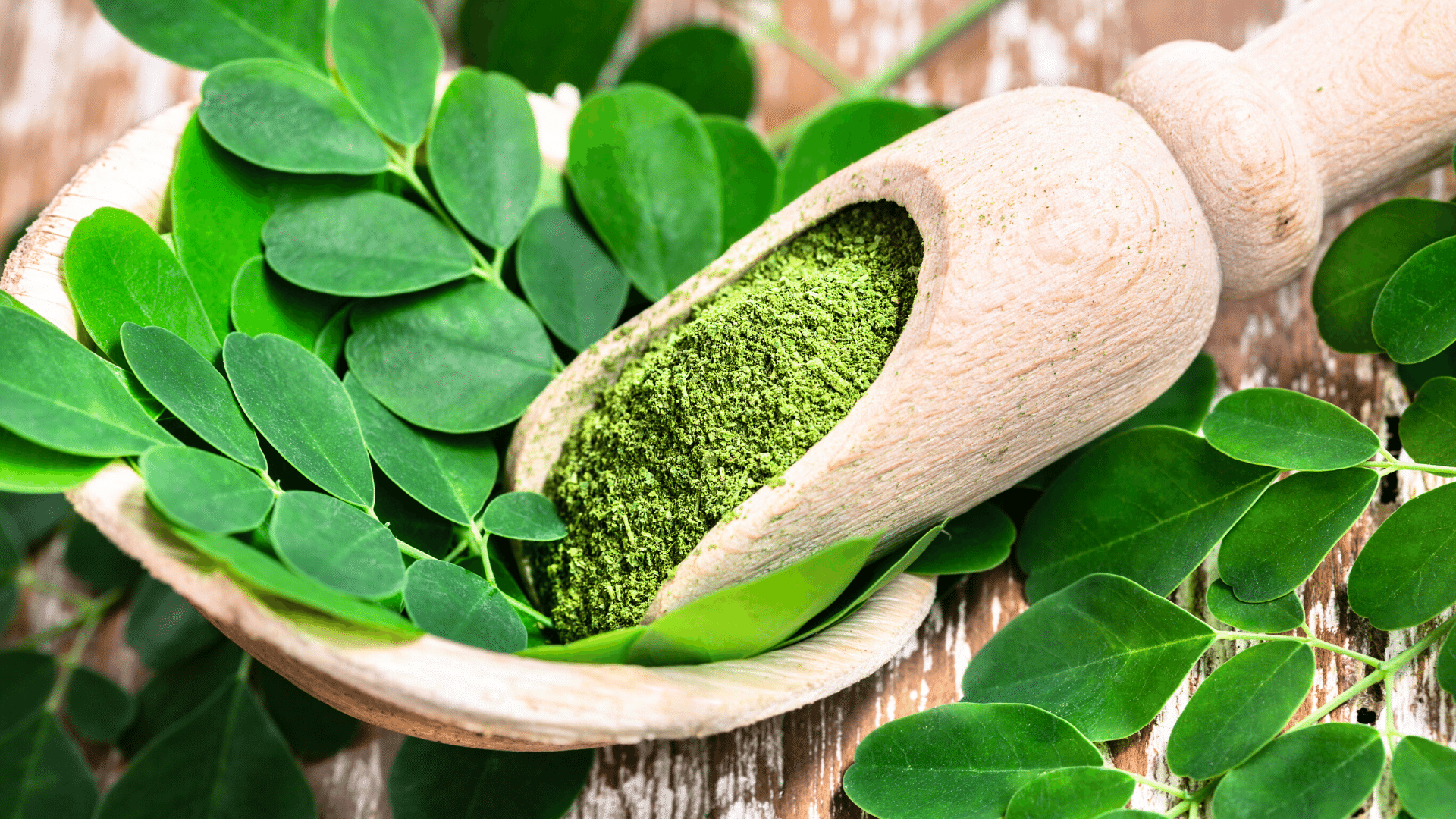Inside Moringa