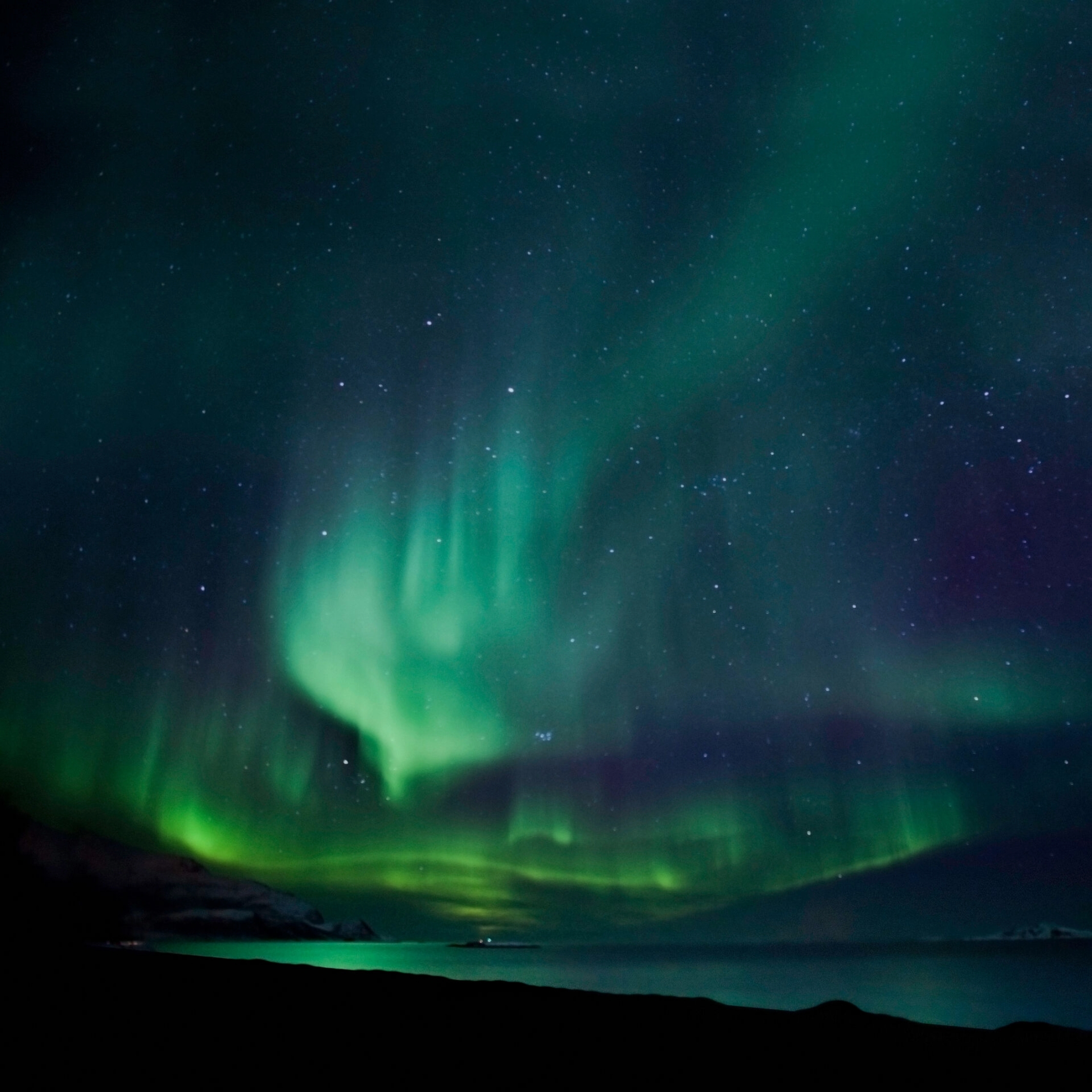 Logical thinkingo hub official