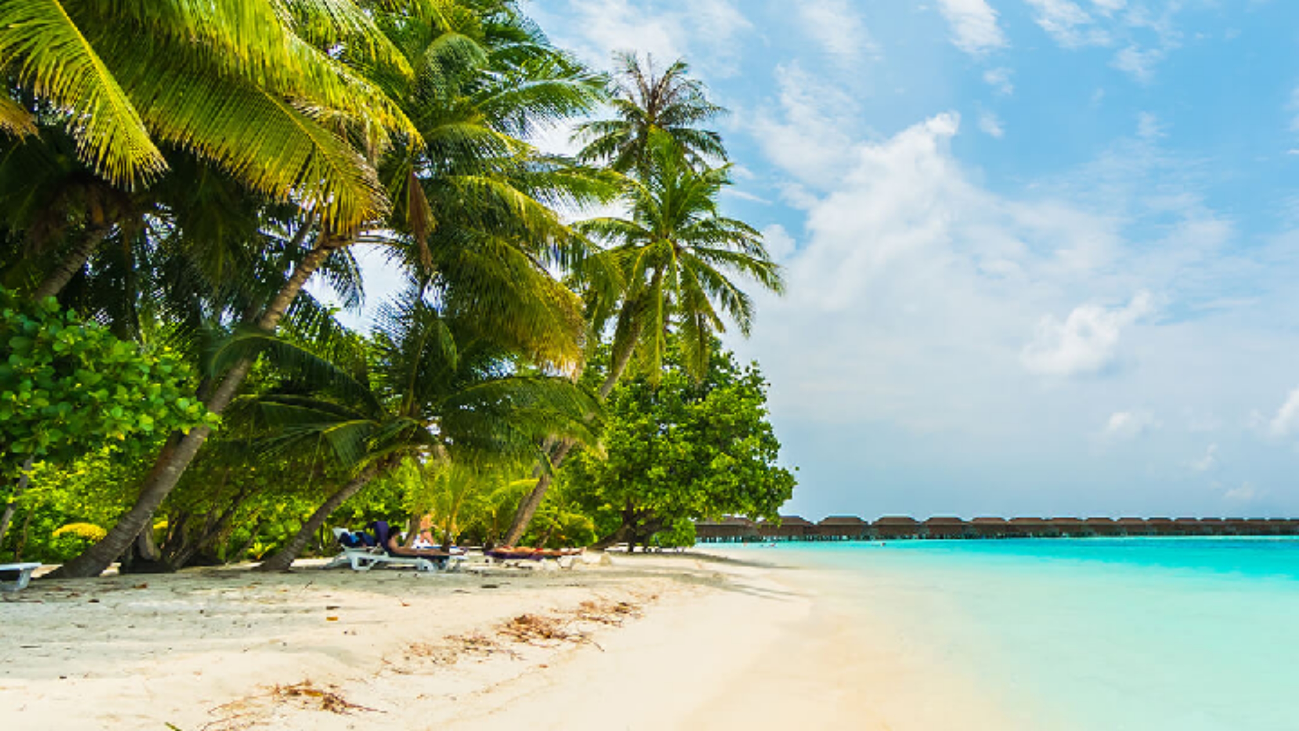 Islamic Islahi Pure Sunni Channel