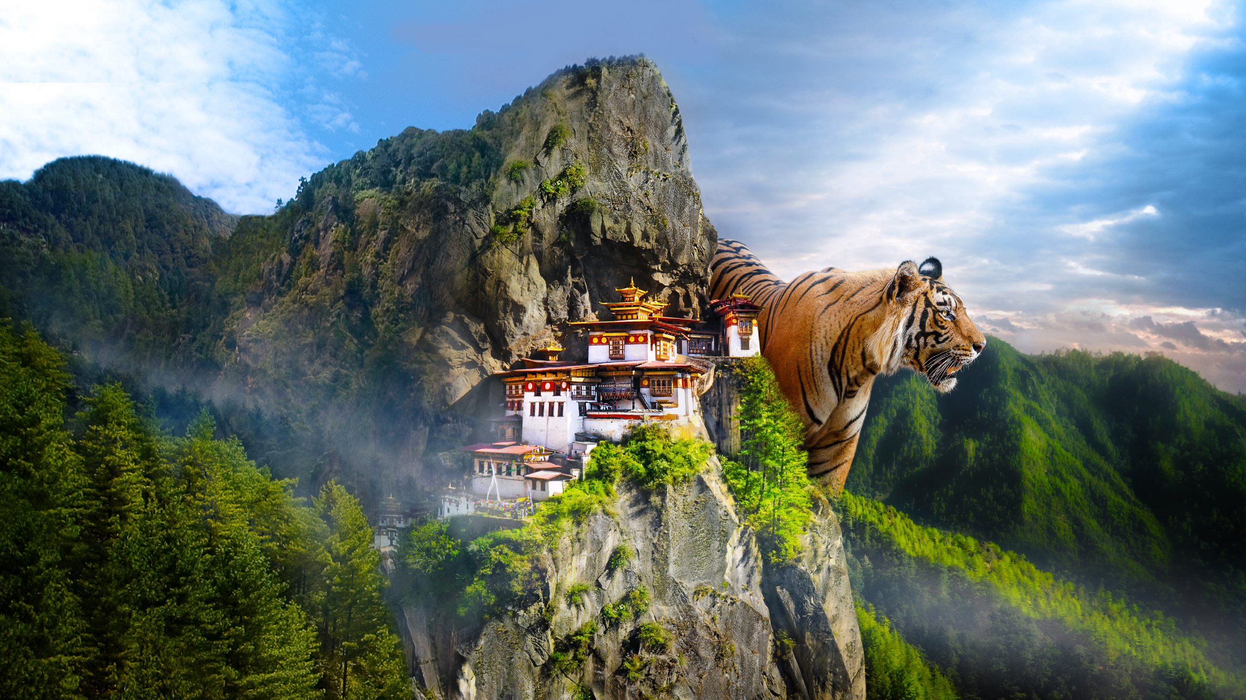 Discovery en Español