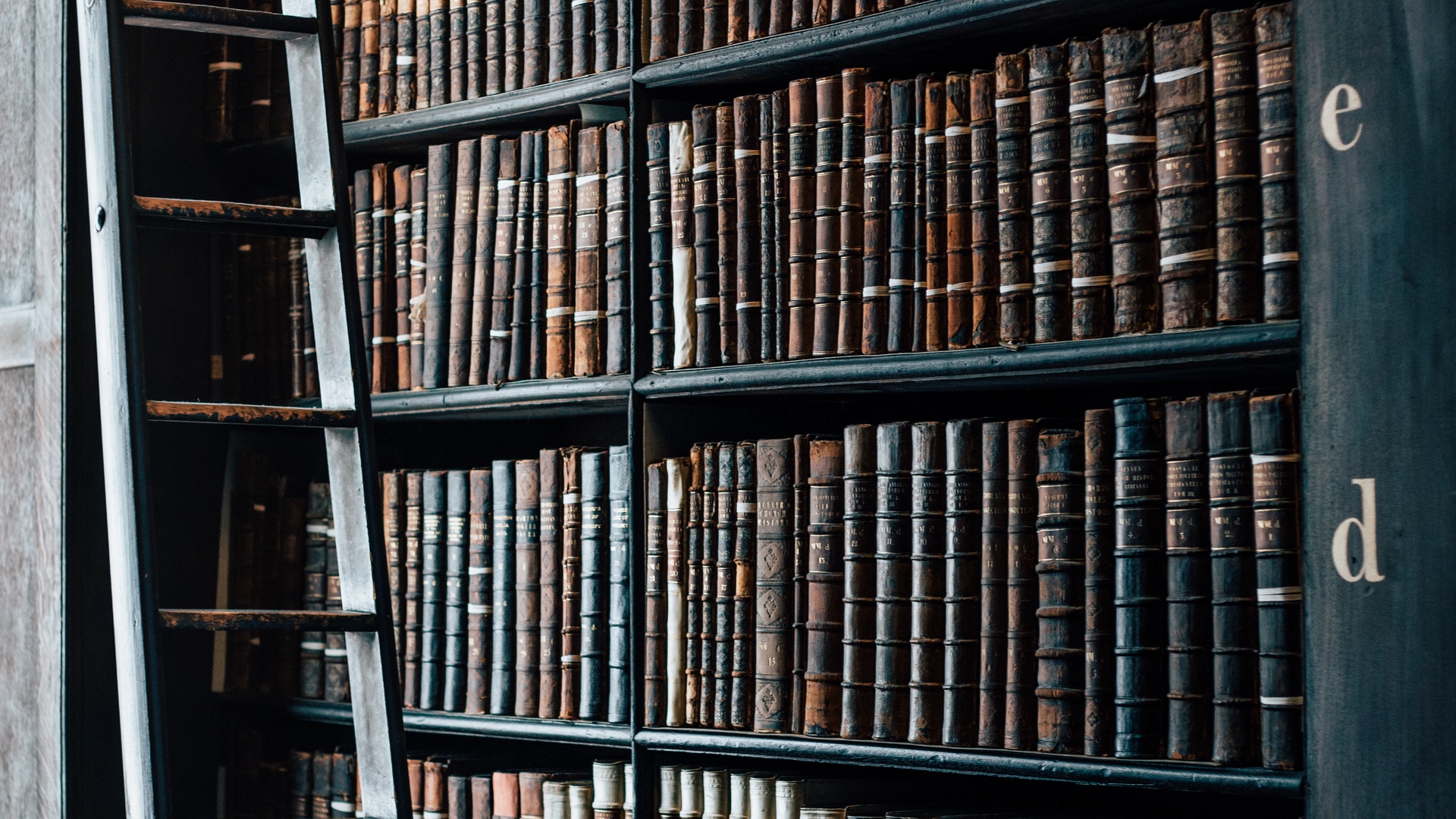 dm_9130cedb30da67faa9e1d88969053c92