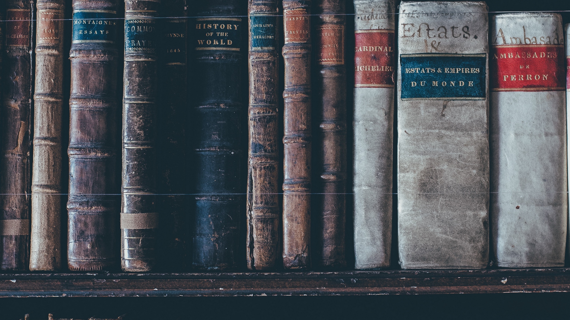 dm_4128d3c681fdc2a018dd66ee1465011c