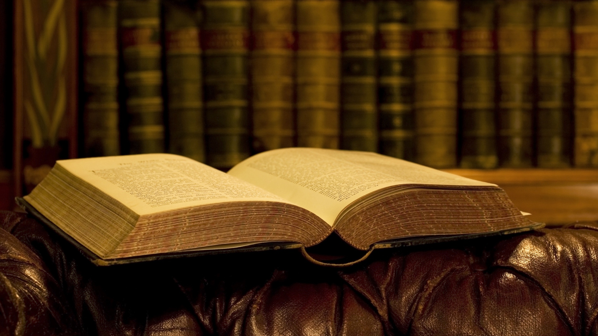 dm_9e3f12dda2ef9b4a29ee7c52640975b1