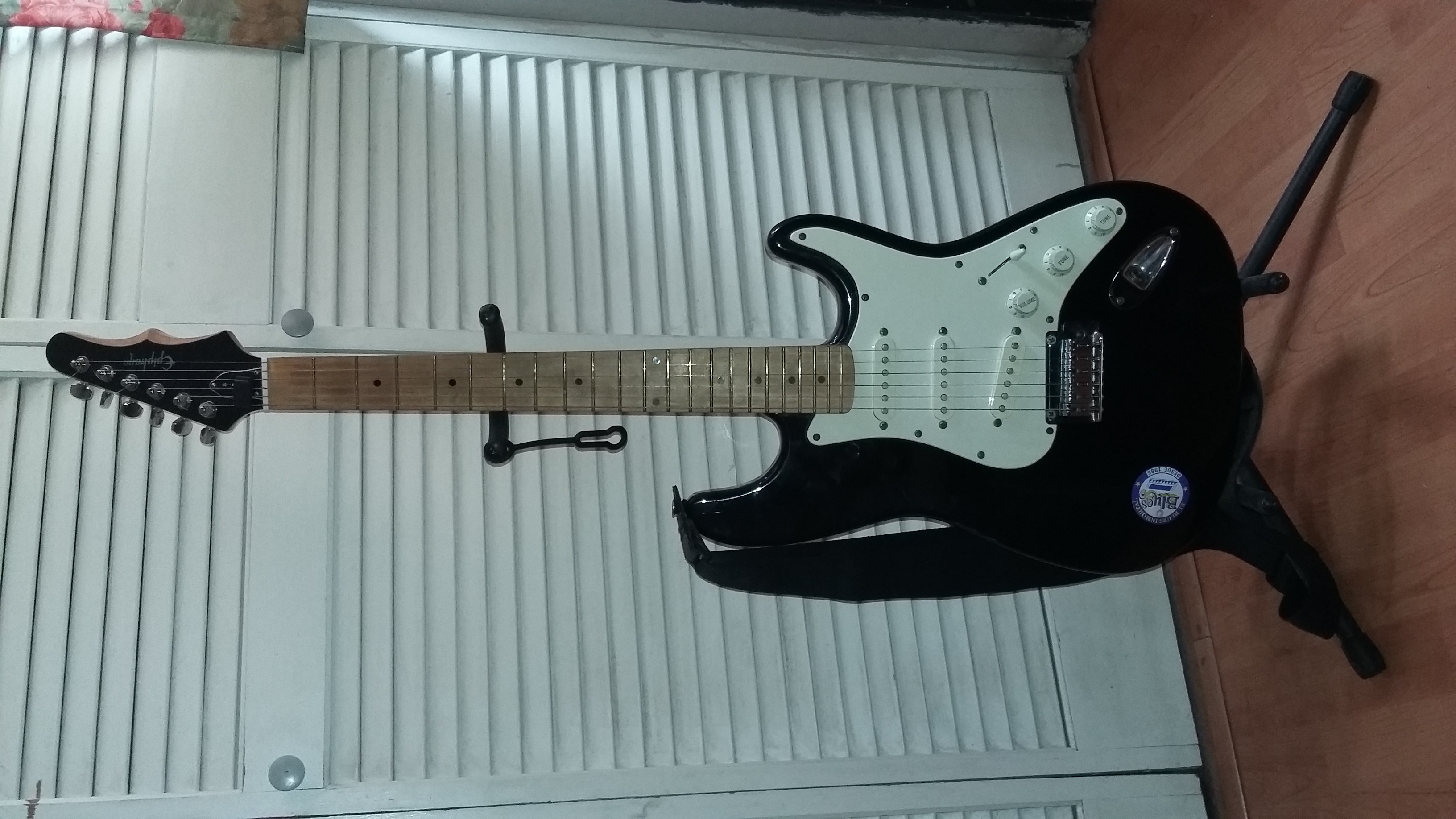 Richard Laguna - El Guitarmonica