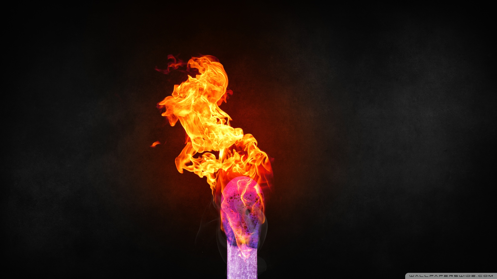 Sotaro Takara  Anime 劇場版