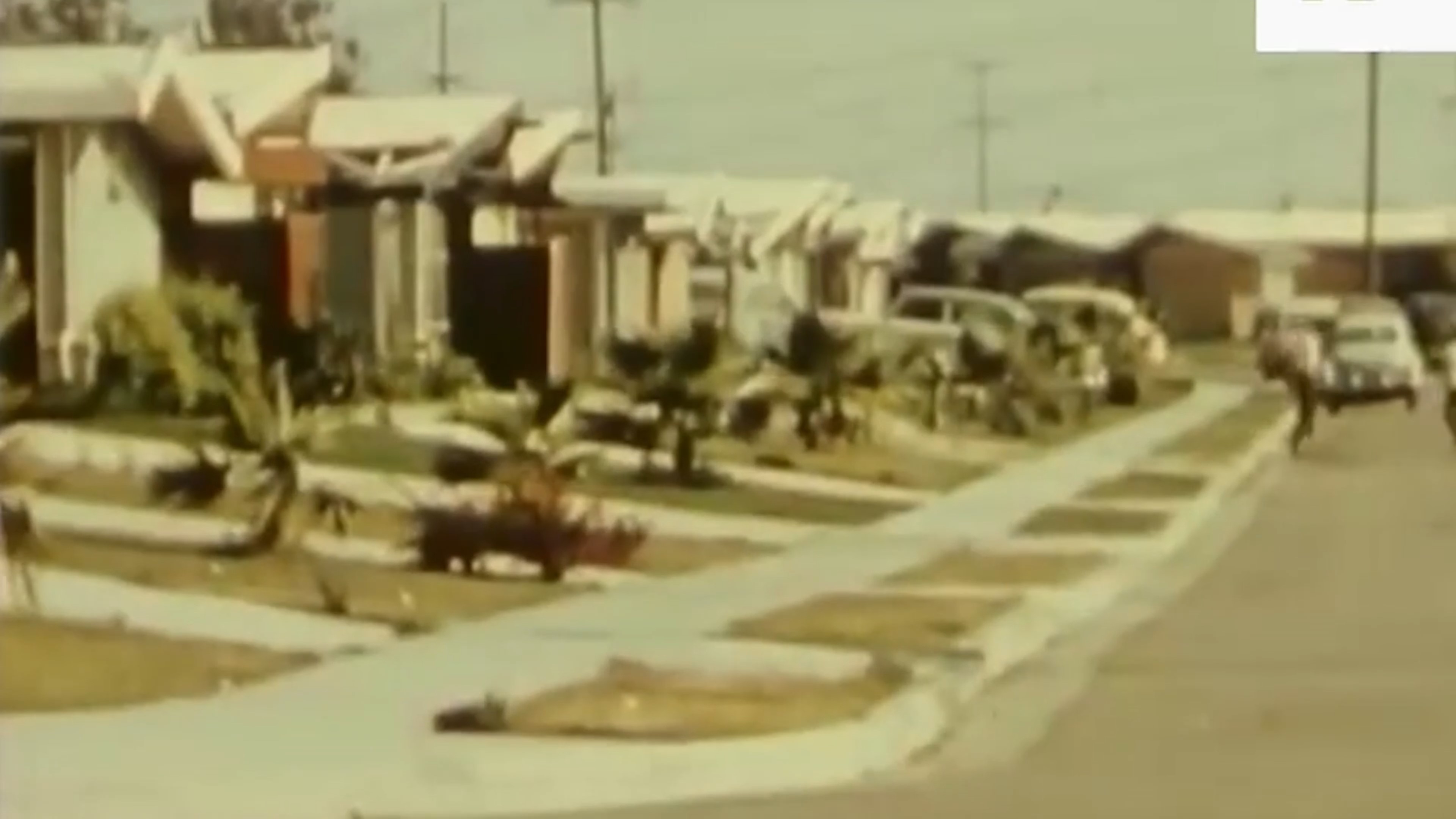 エッジ・オブ・シャドウズ