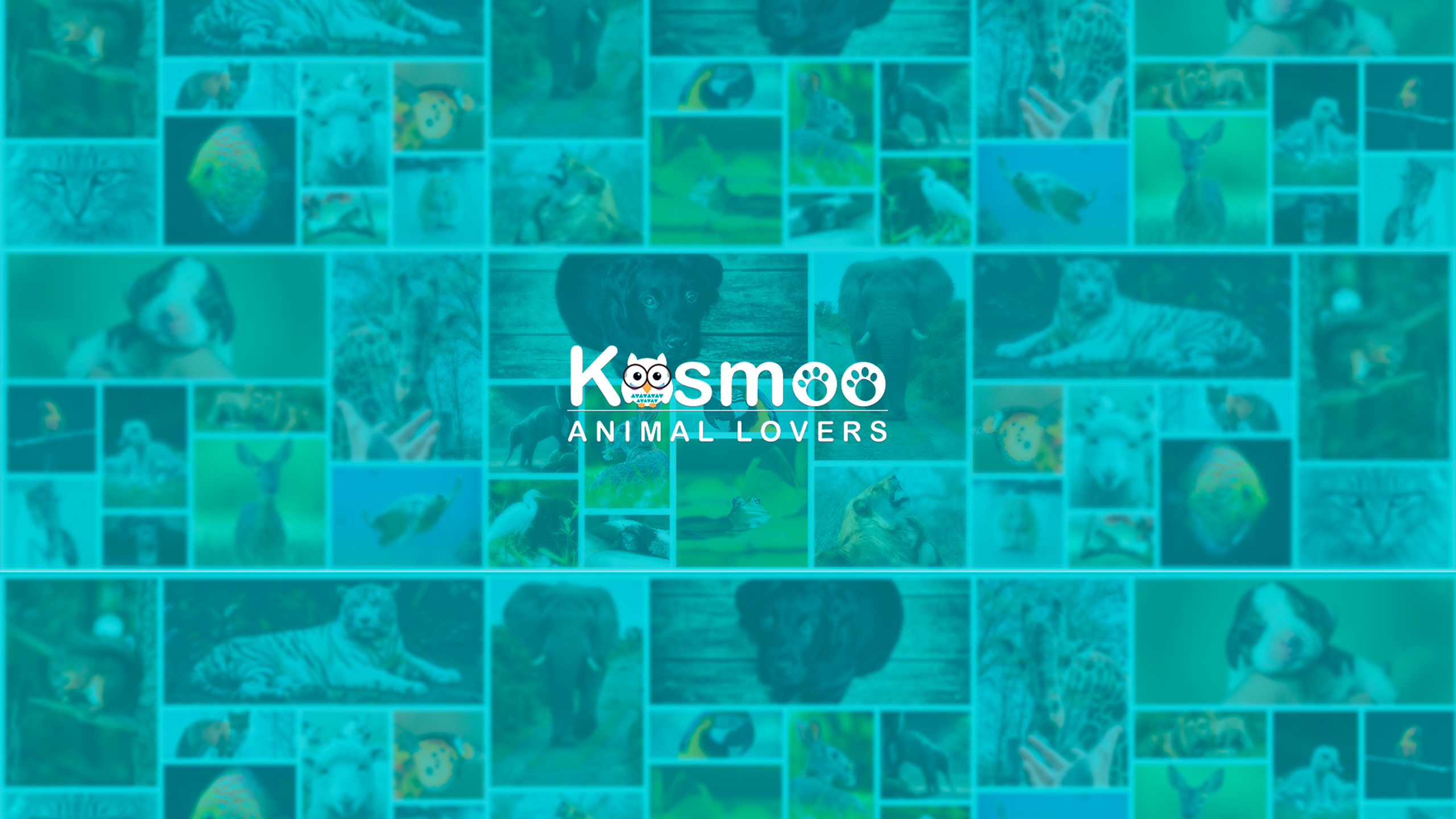 Kosmoo Animal Lovers