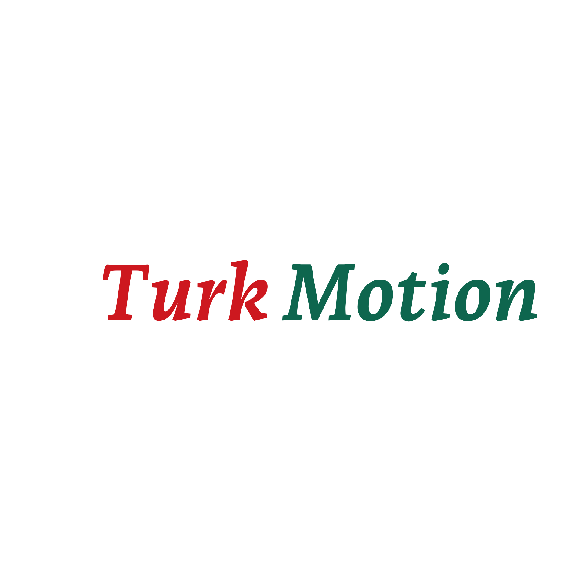 TurkMotion