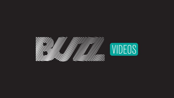 Buzz Videos France