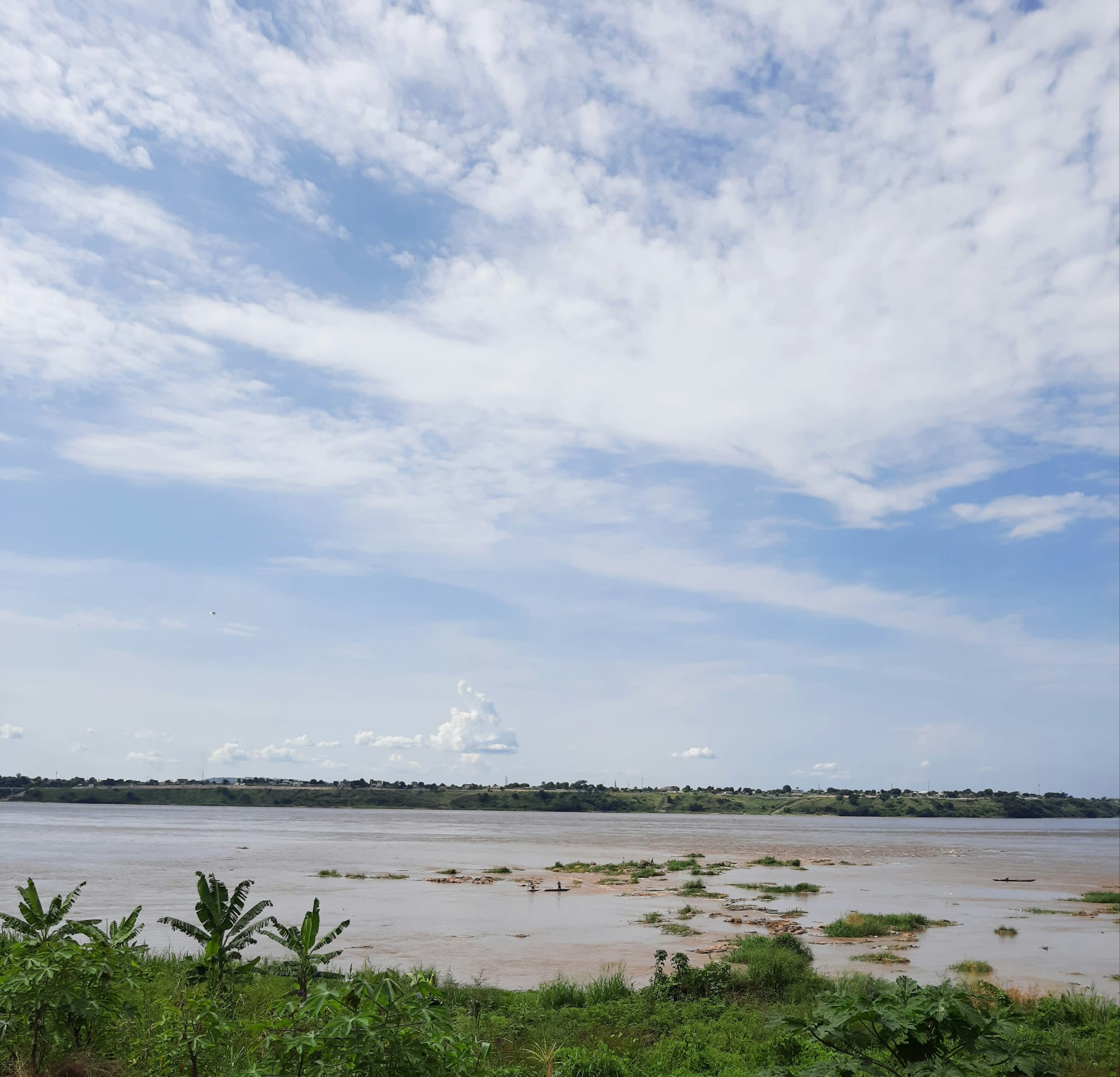 SPECiMN MC         (officiel)