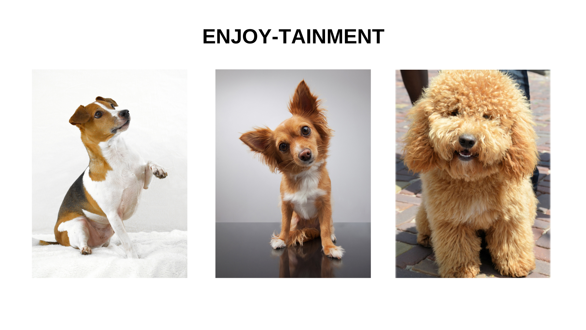 Enjoy-tainment