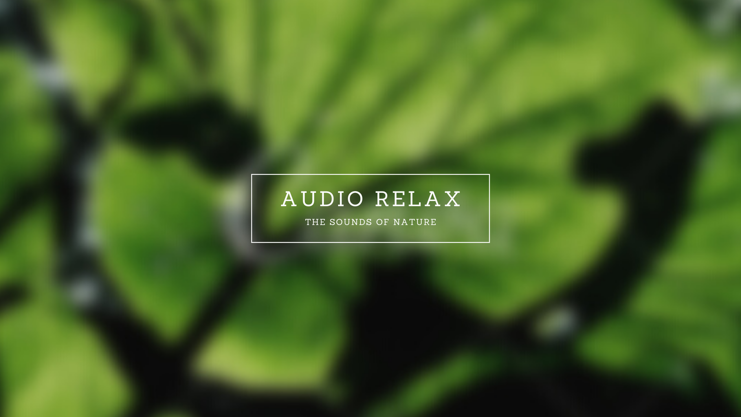 Audio Relax