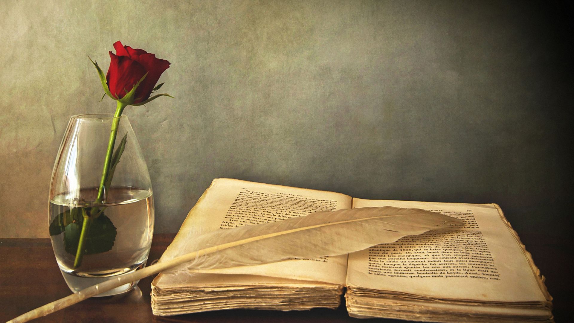 dm_9437a1c309f0aa391eb882927672cb11